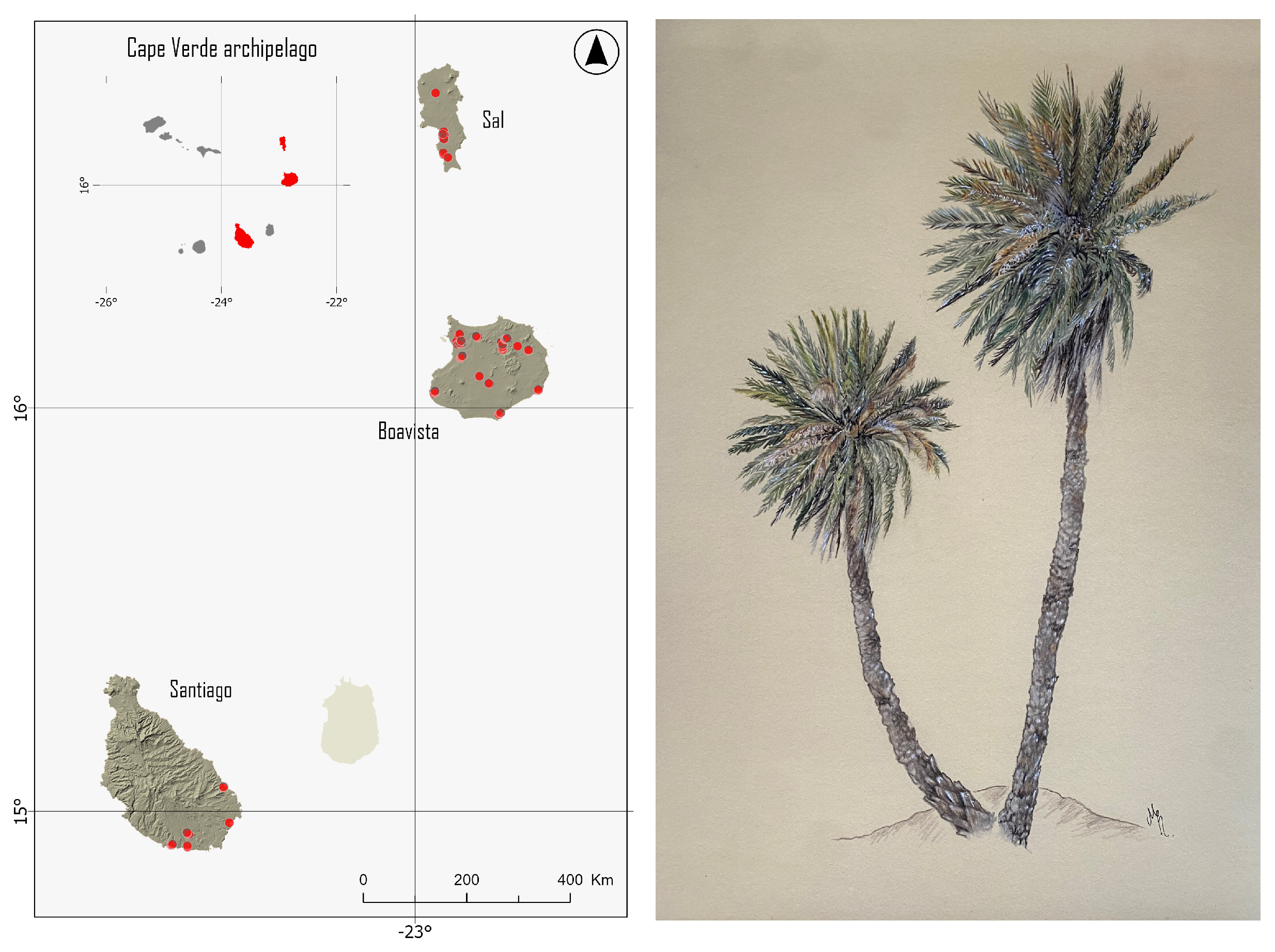 Plants 13 02209 g001