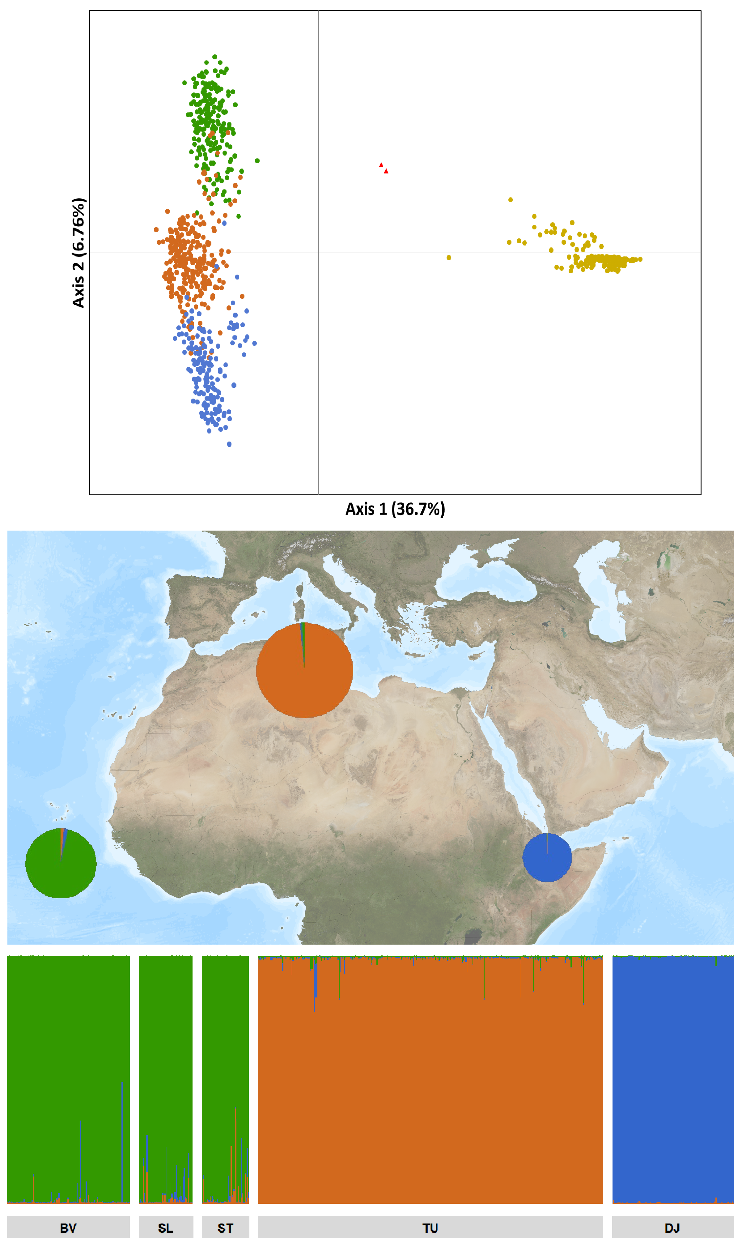 Plants 13 02209 g002