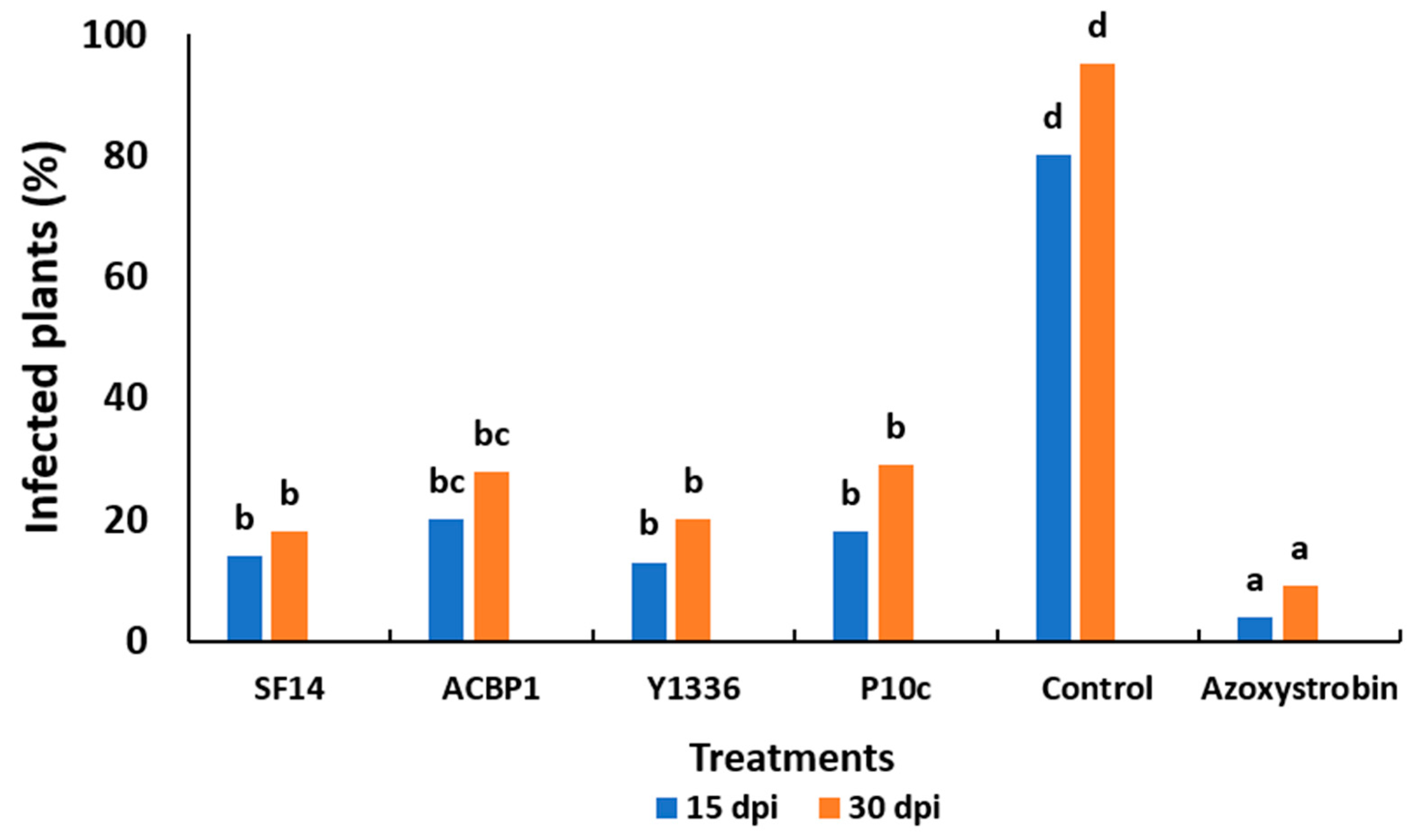 Plants 13 02213 g004