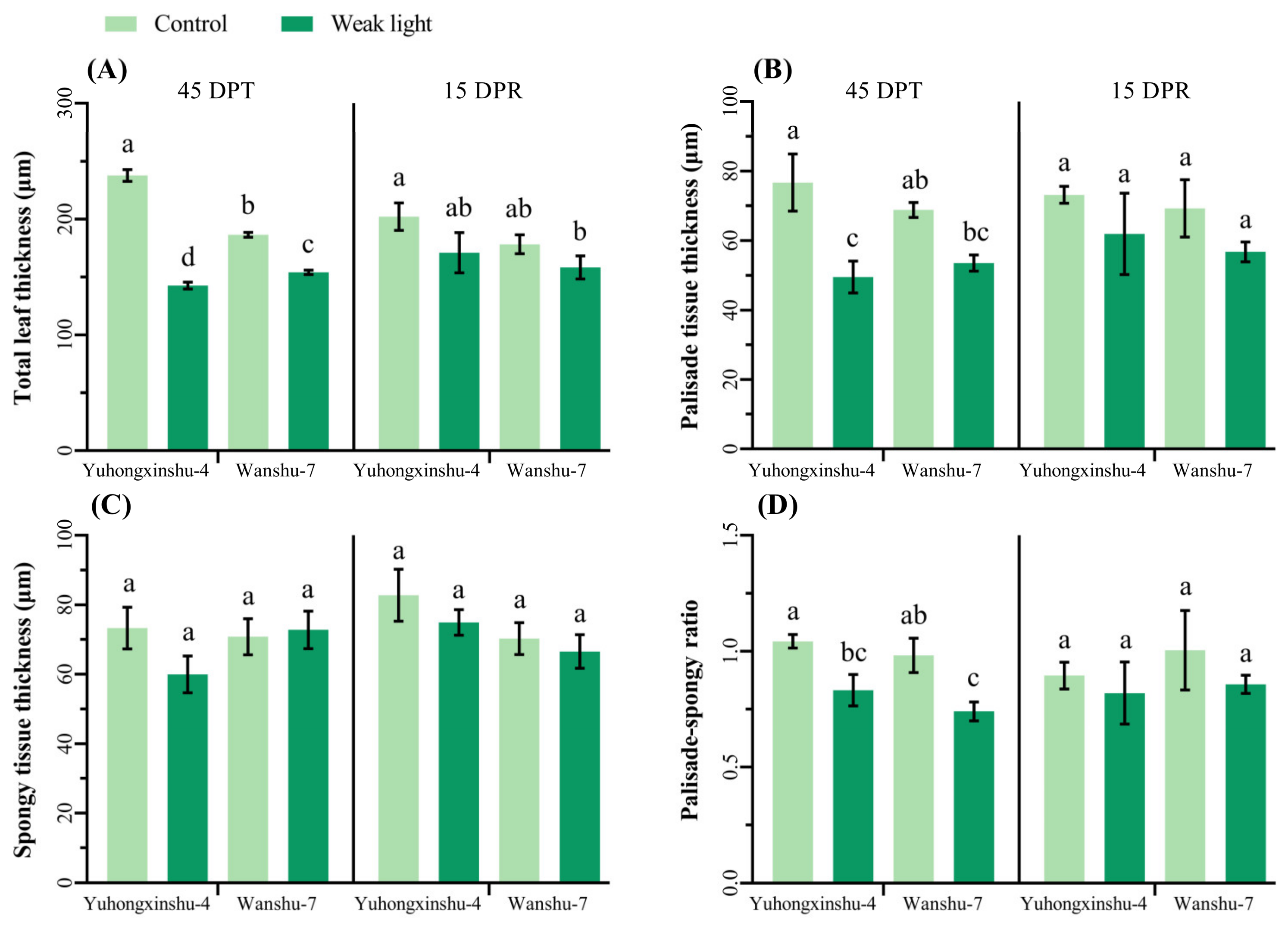 Plants 13 02214 g003
