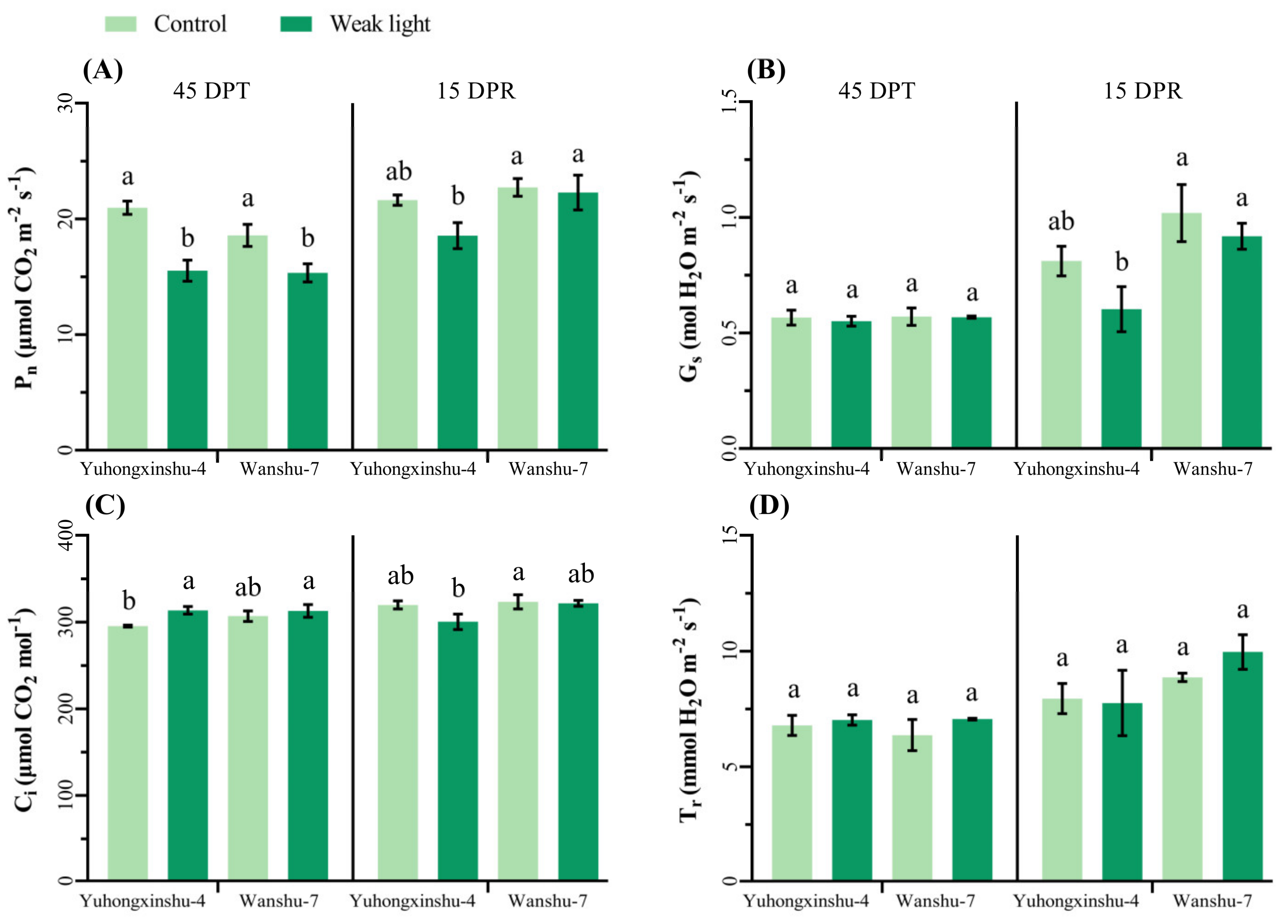 Plants 13 02214 g004