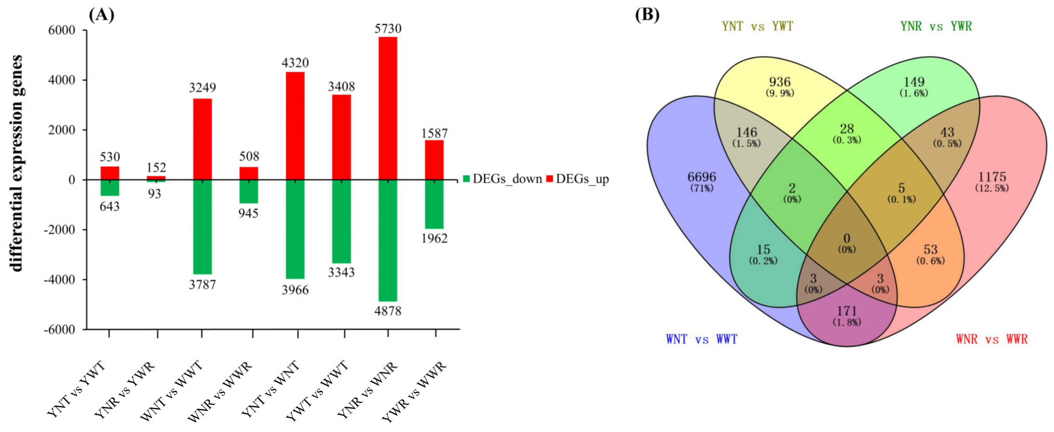 Plants 13 02214 g006