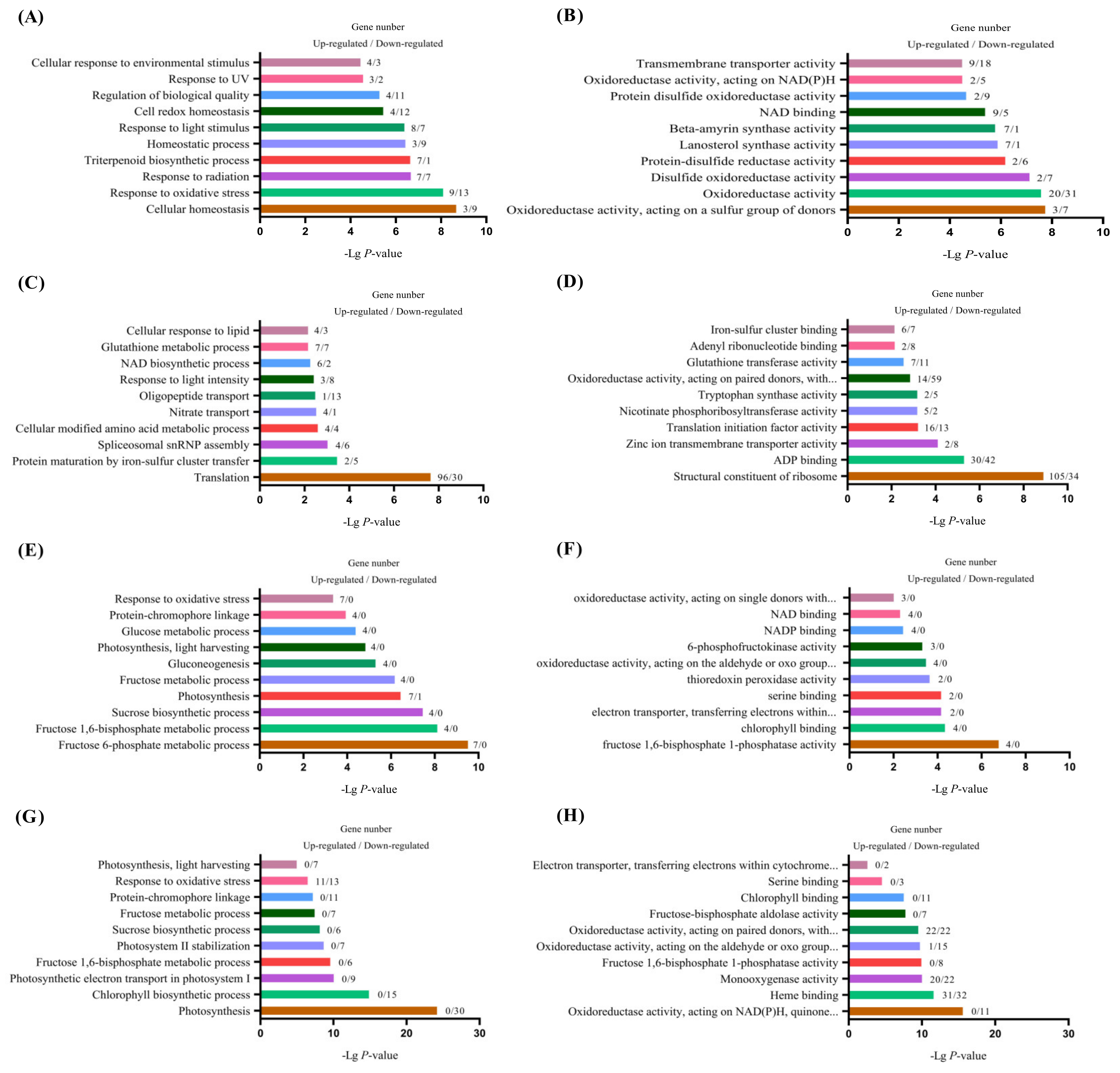 Plants 13 02214 g007