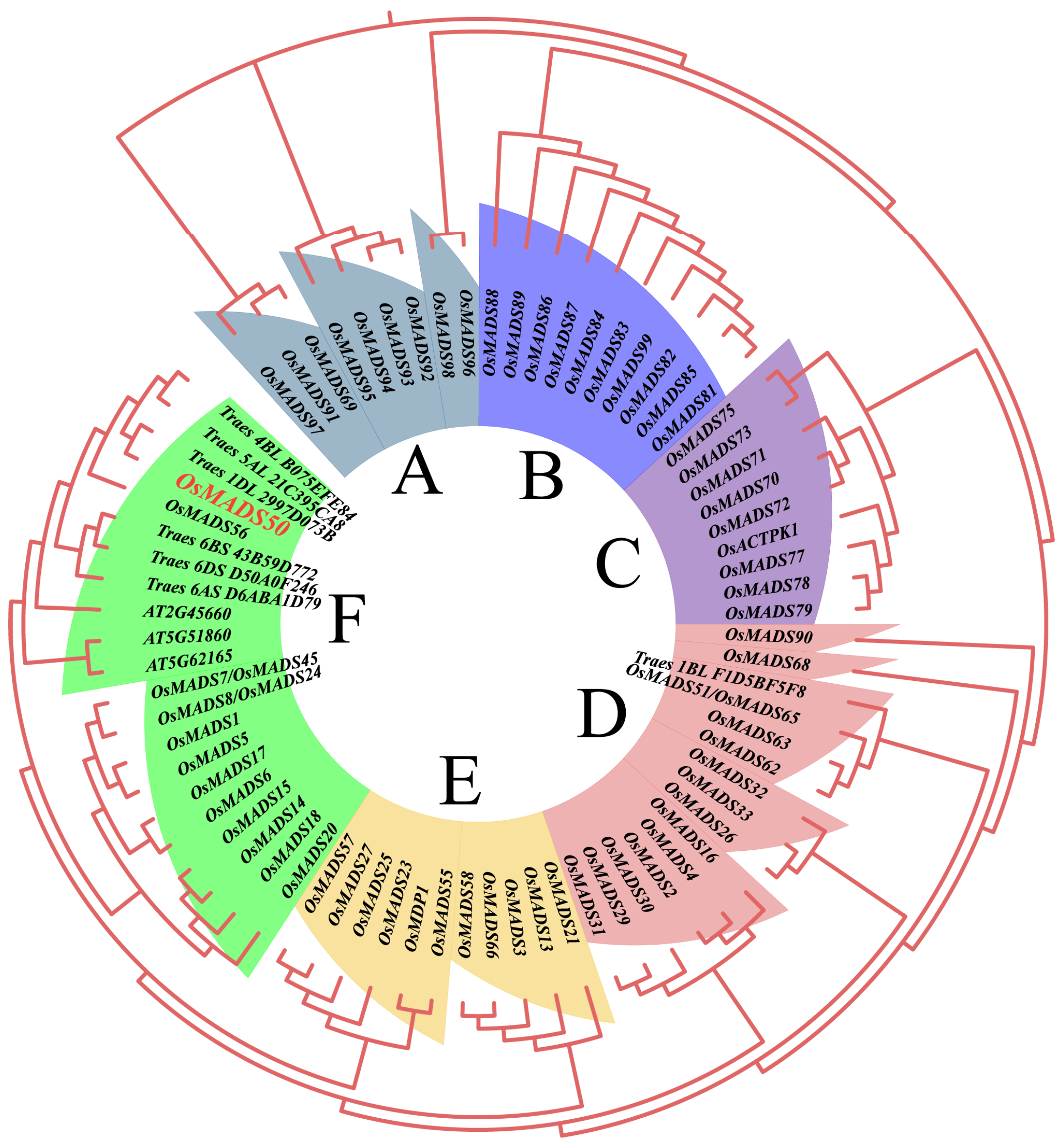 Plants 13 02221 g002
