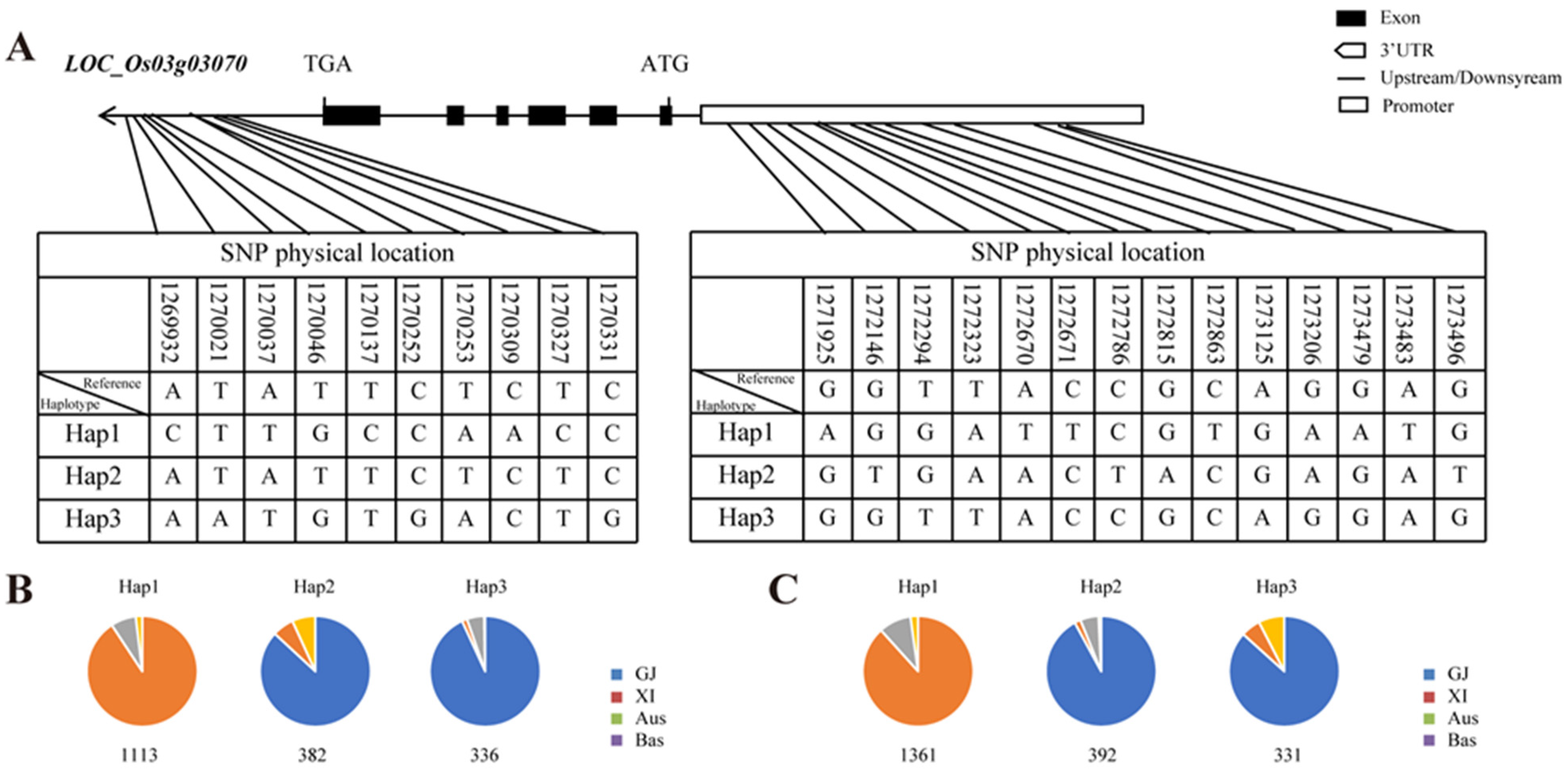Plants 13 02221 g008