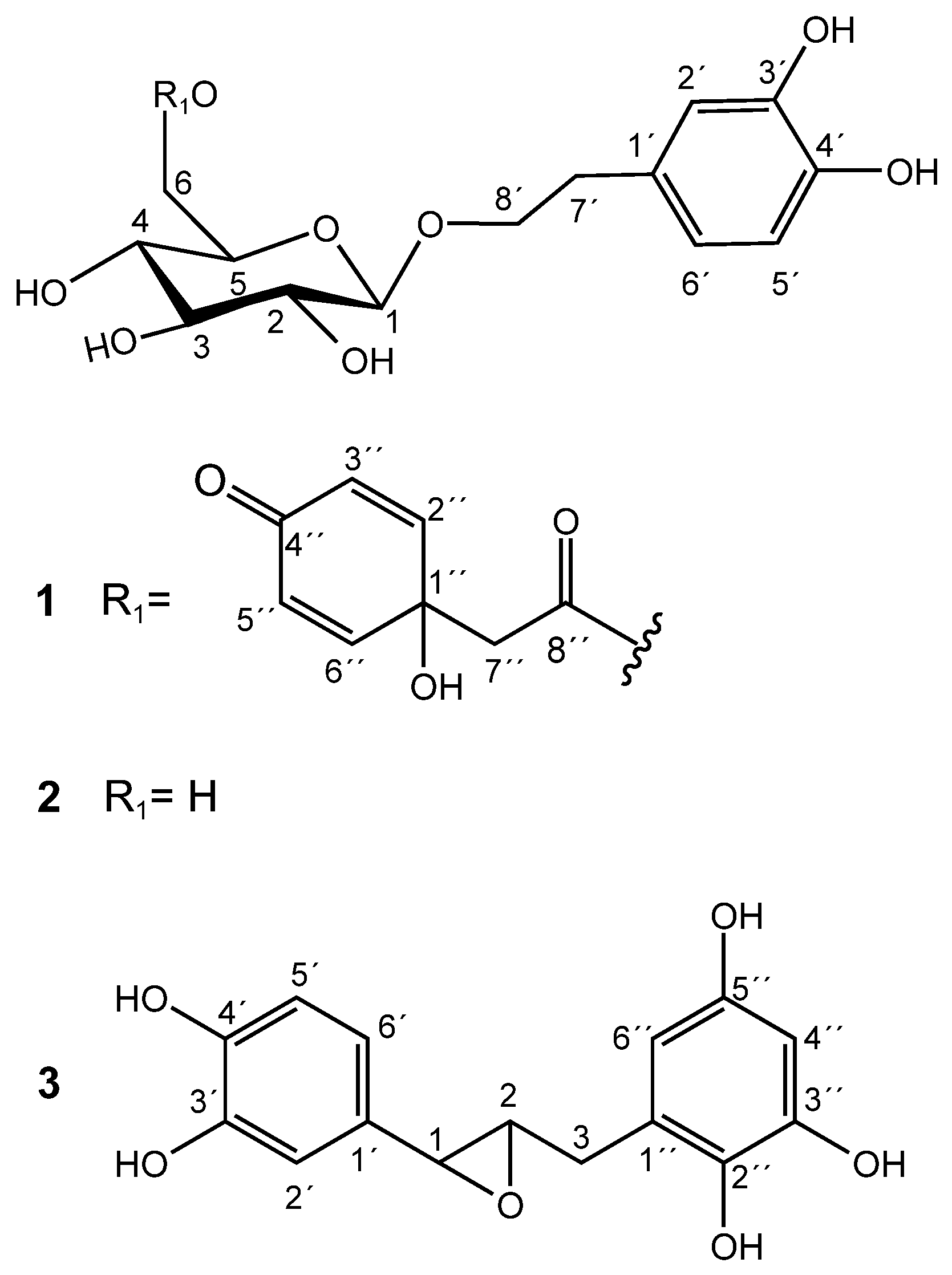 Plants 13 02223 g001