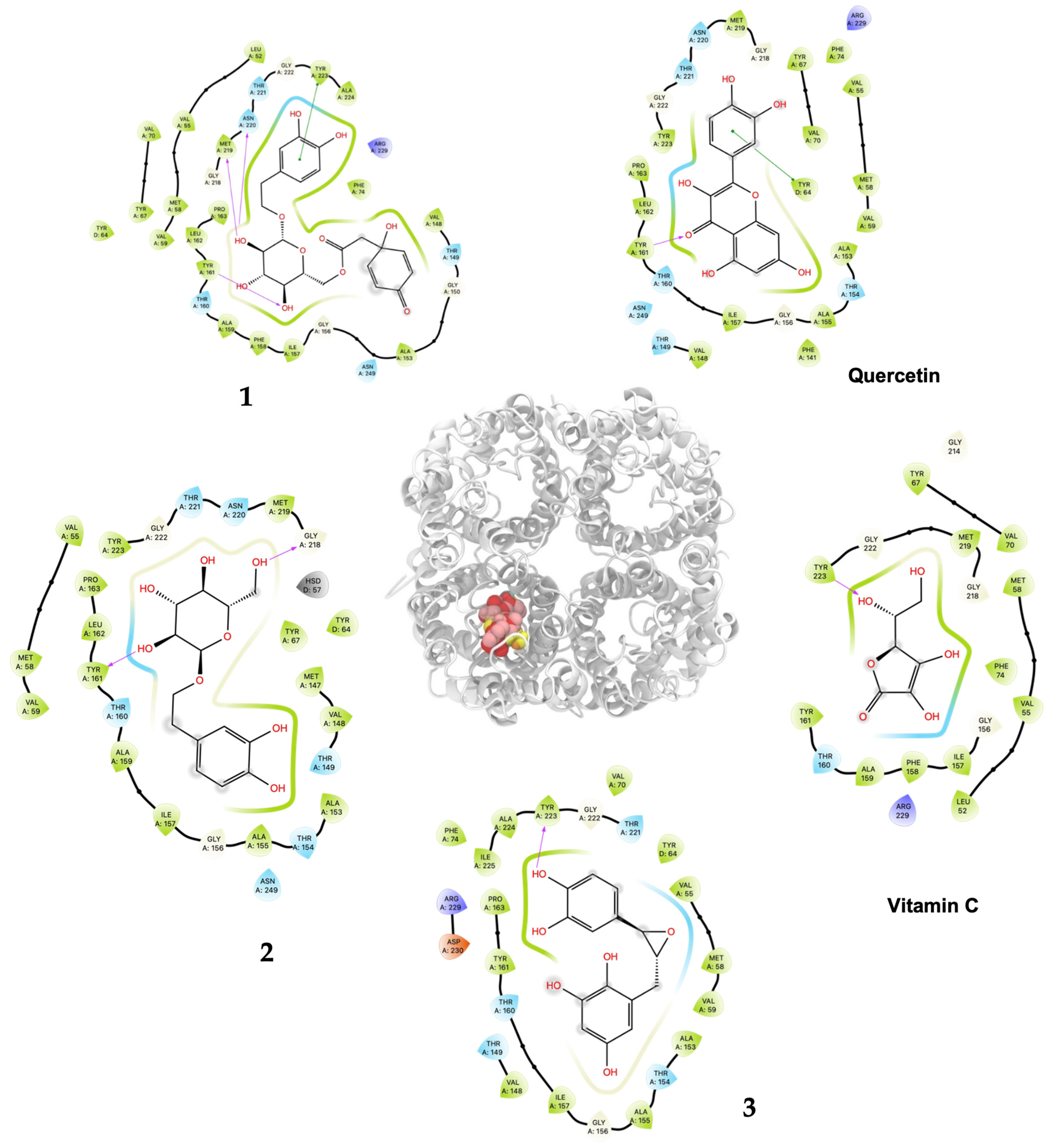 Plants 13 02223 g004