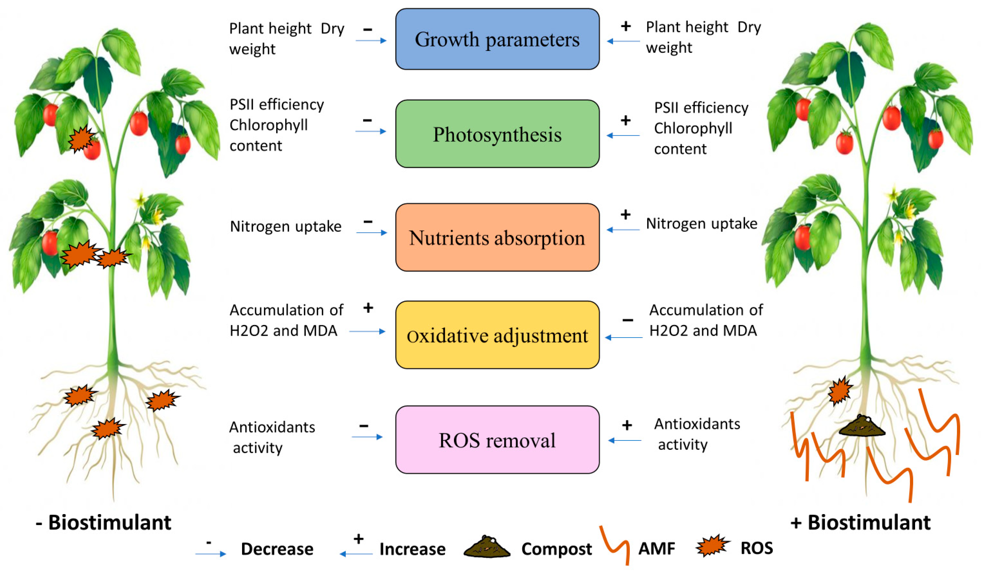 Plants 13 02225 g006