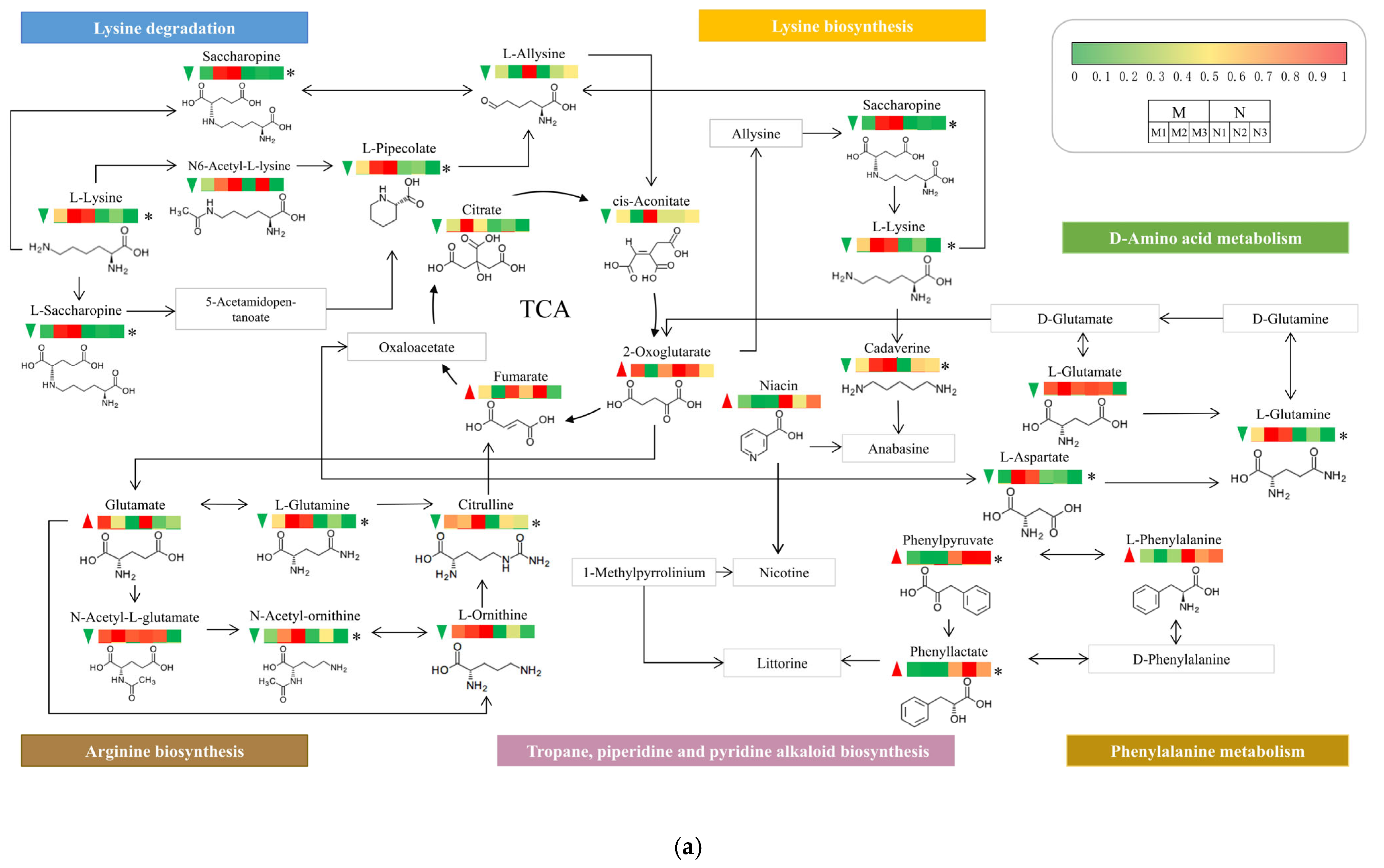 Plants 13 02232 g007a