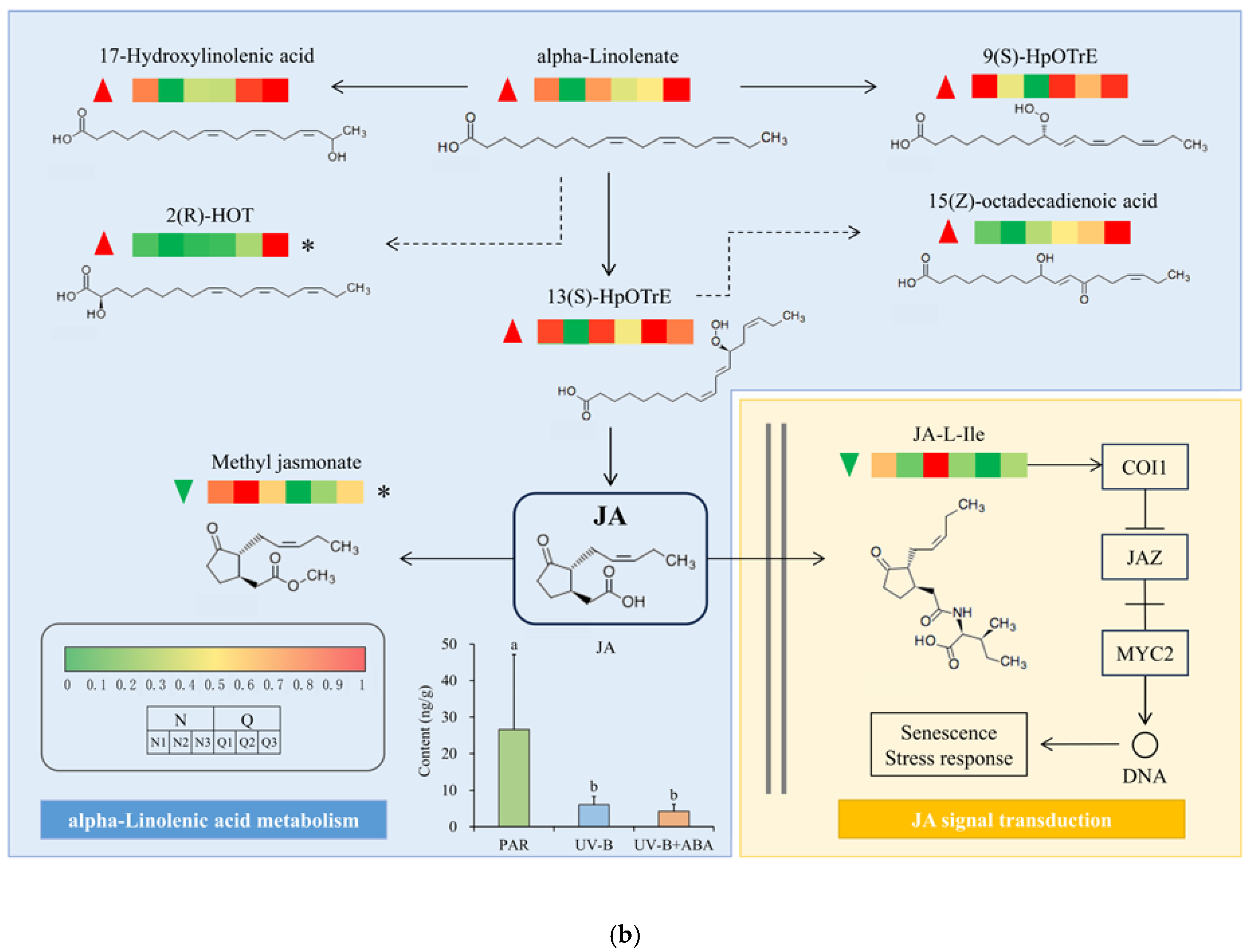 Plants 13 02232 g007b