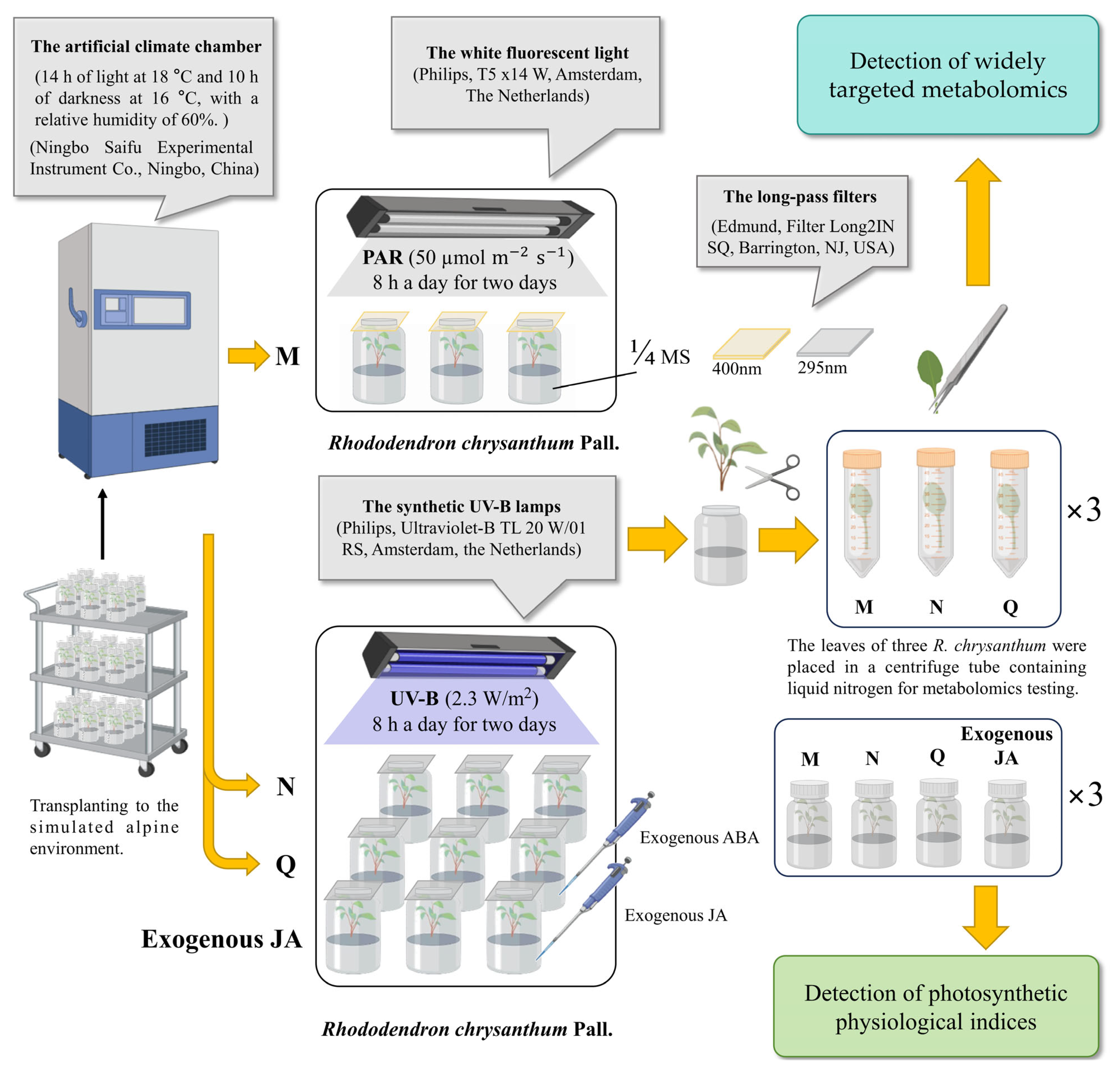 Plants 13 02232 g008