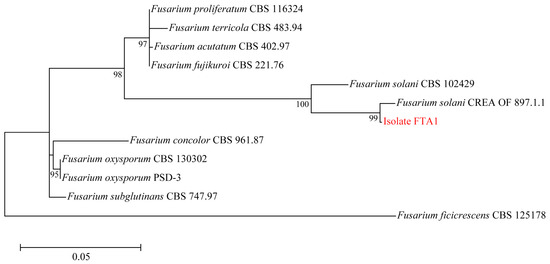 その他 123 Amazon.com: Upstream Oxygen Sensor 0258017112 11 78 7 549