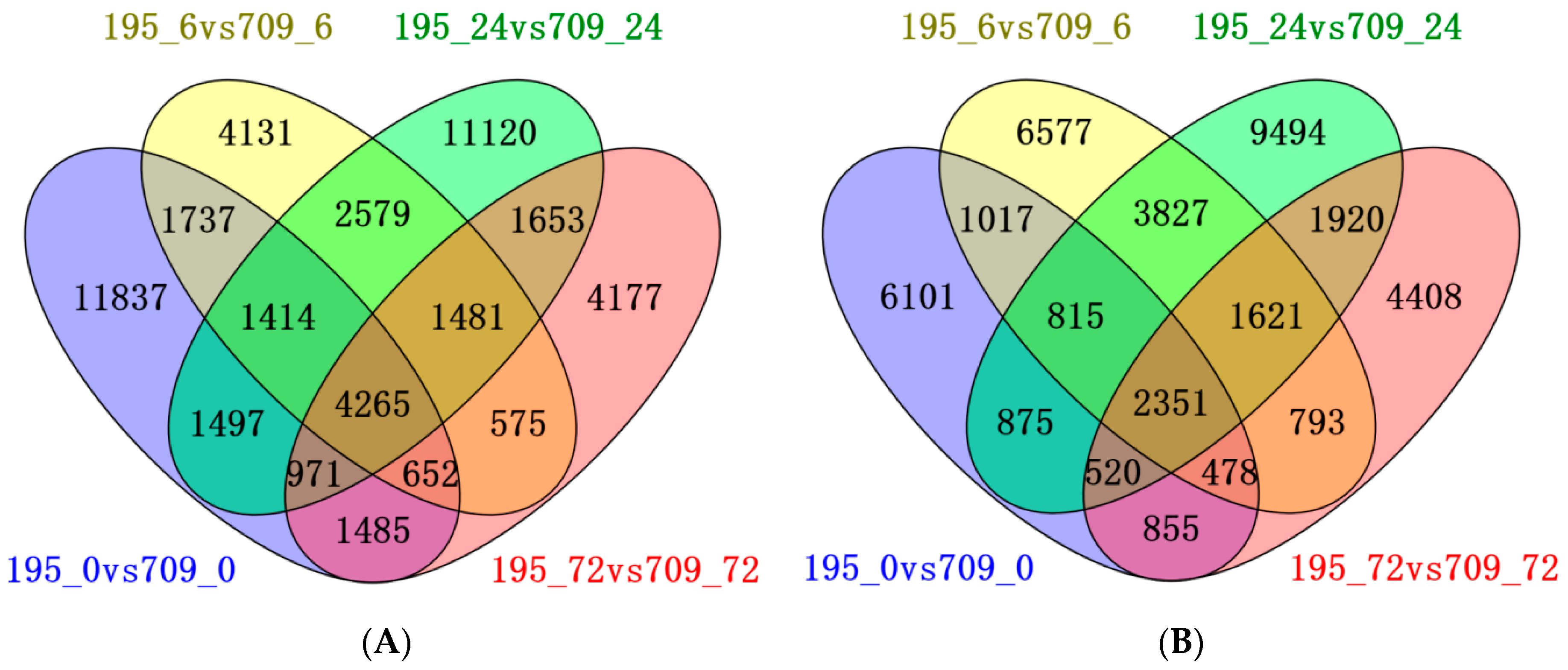 Plants 13 02238 g002