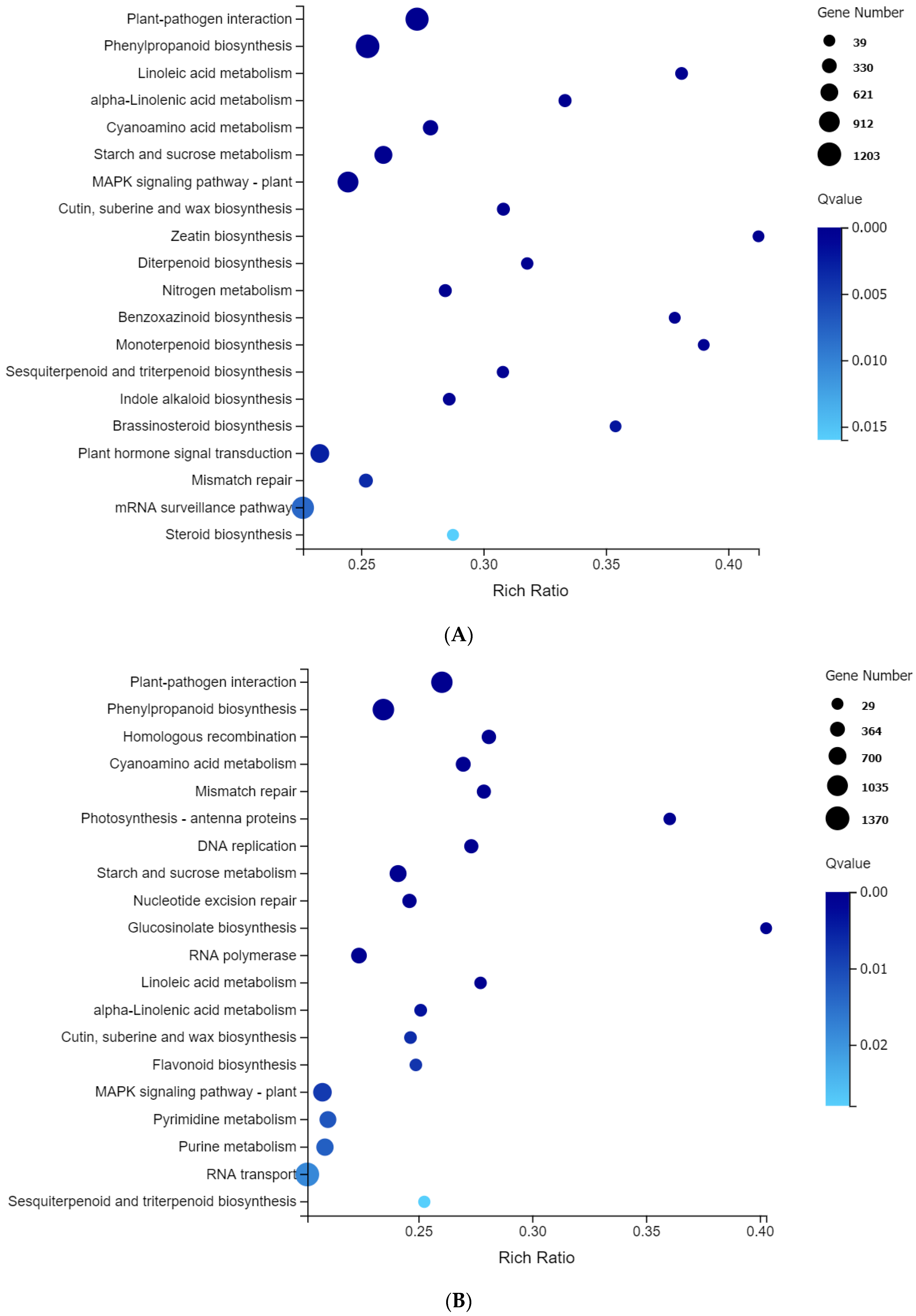 Plants 13 02238 g004a