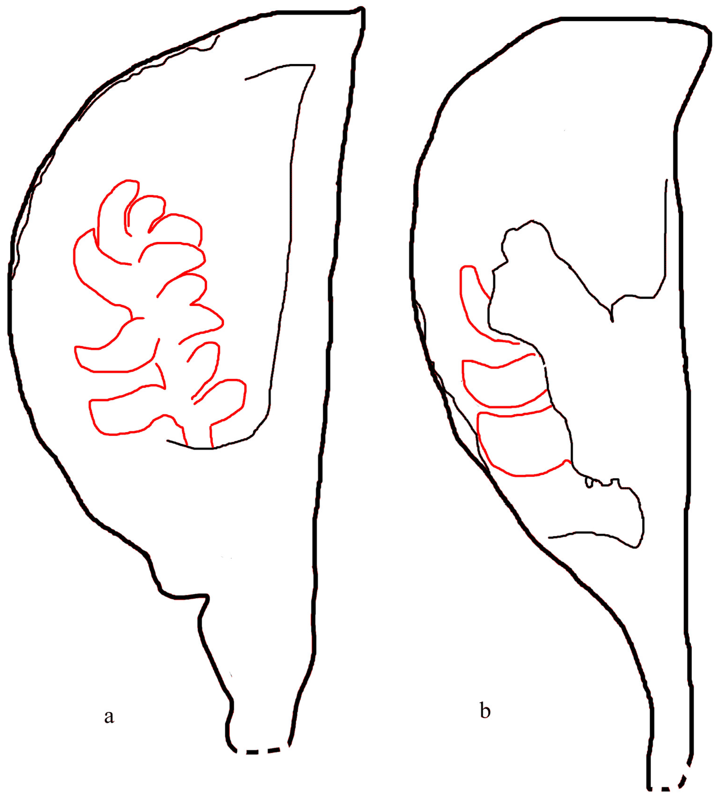 Plants 13 02239 g002