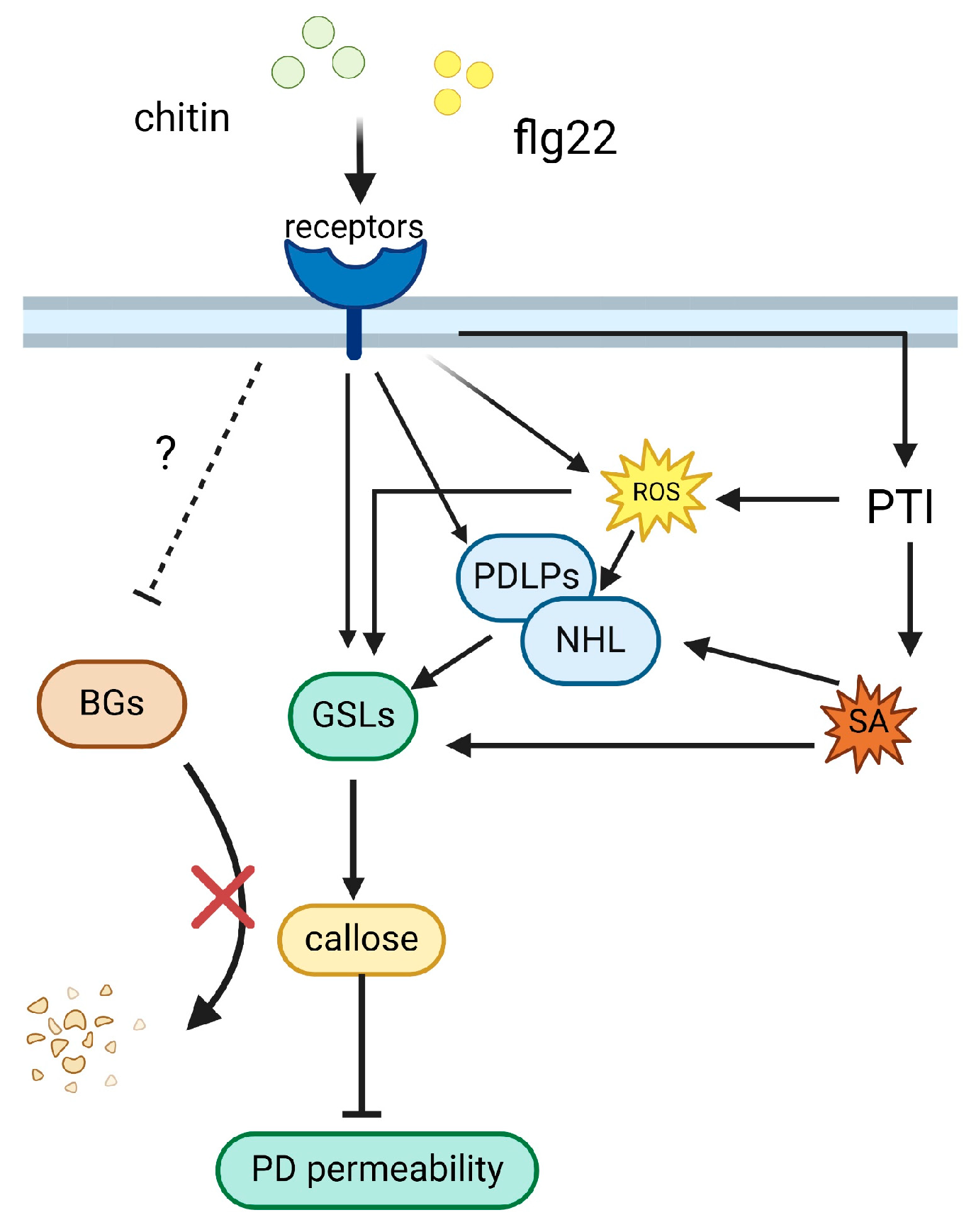 Plants 13 02242 g004