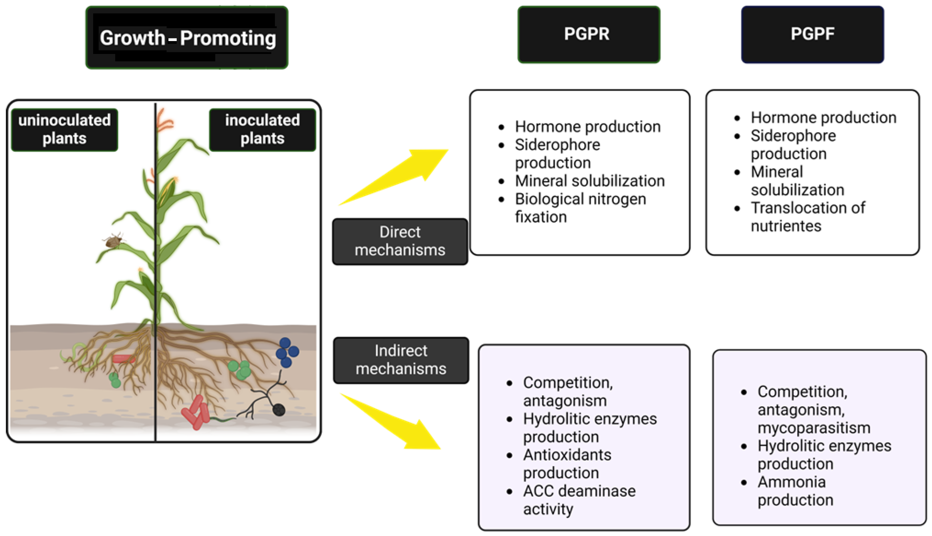 Plants 13 02246 g001