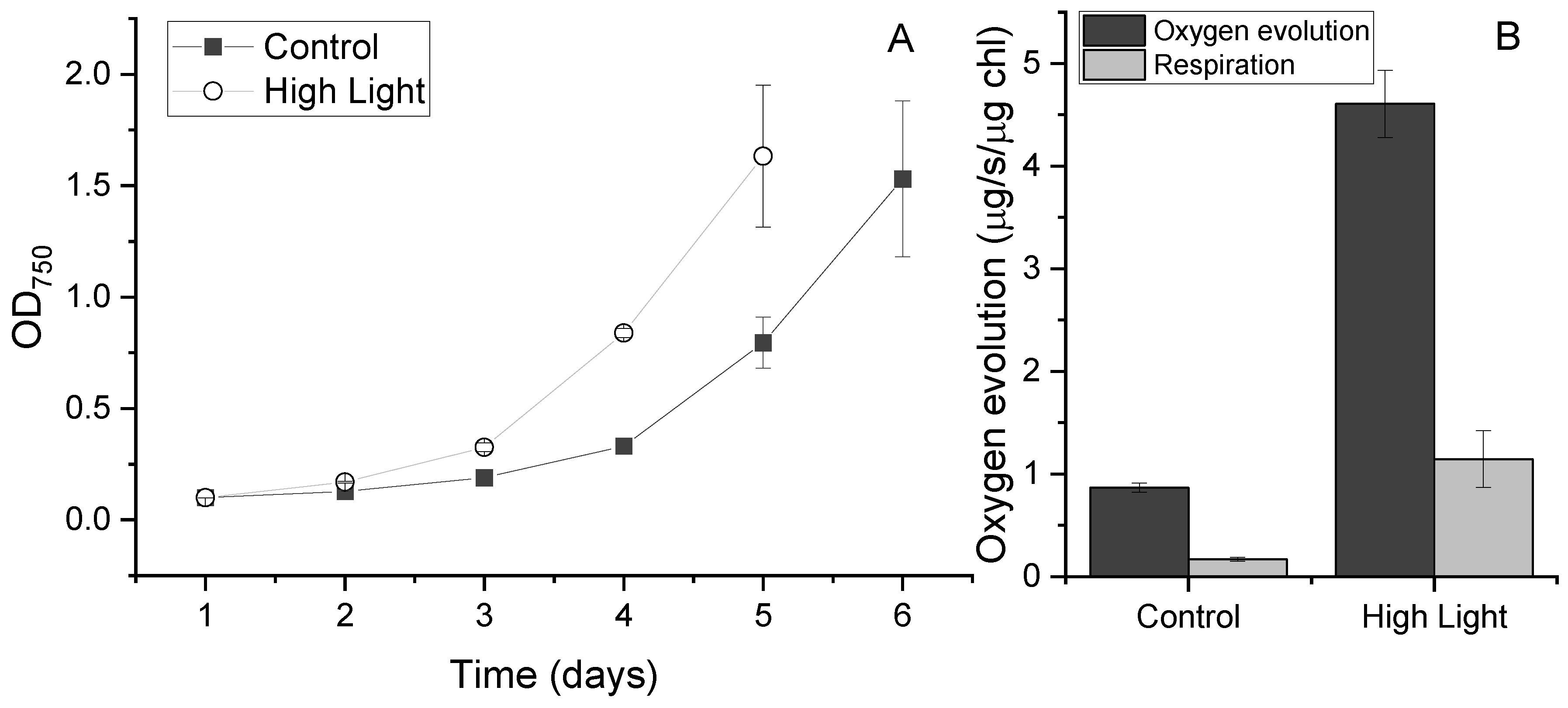 Plants 13 02254 g001