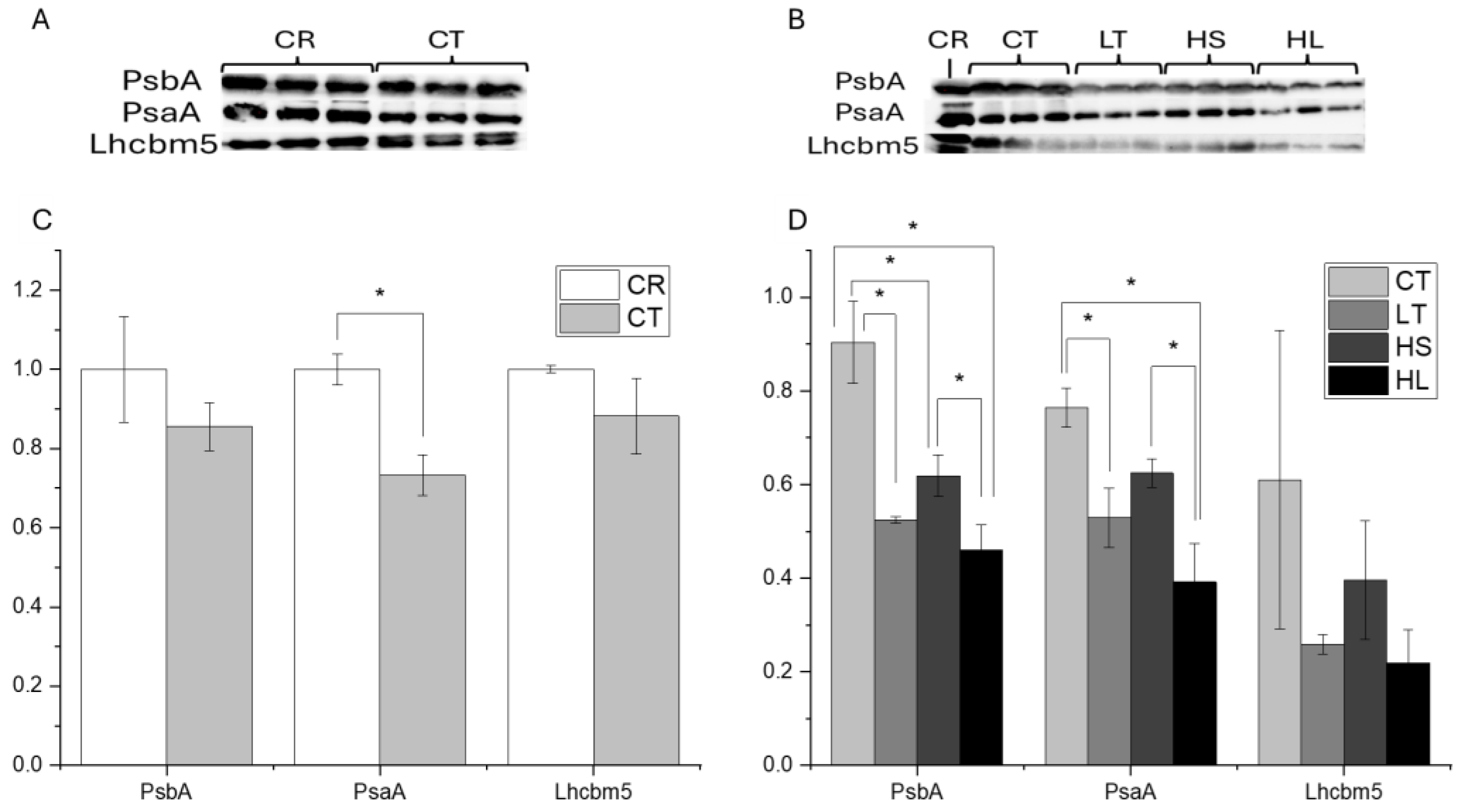 Plants 13 02254 g003