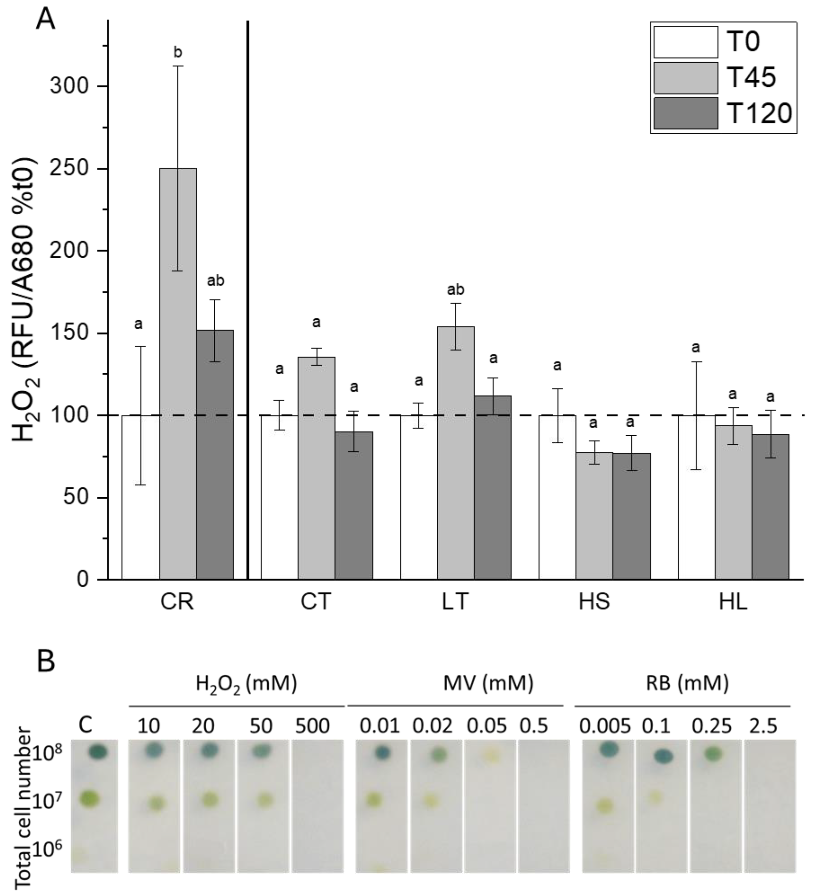 Plants 13 02254 g007