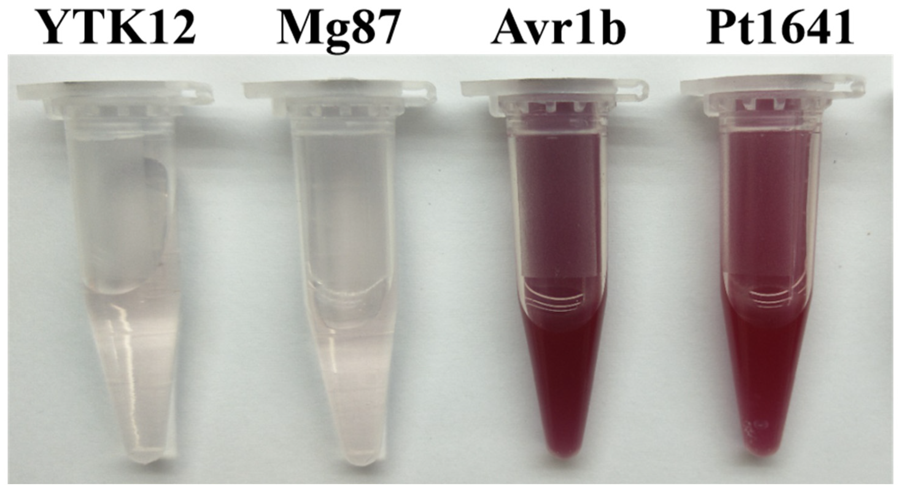 Plants 13 02255 g001