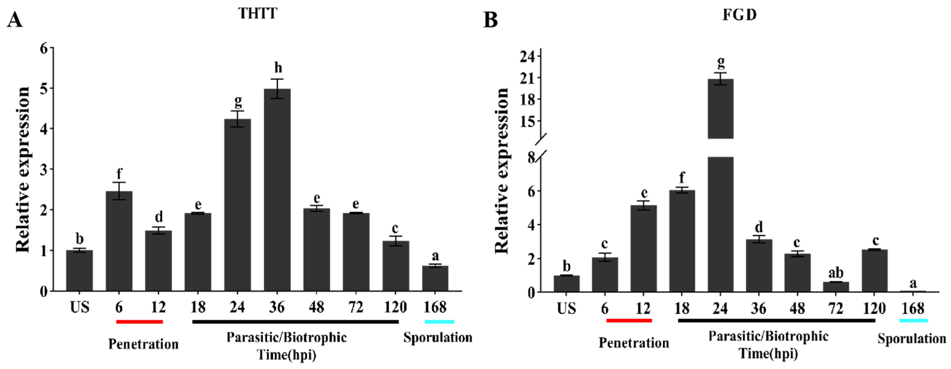 Plants 13 02255 g002