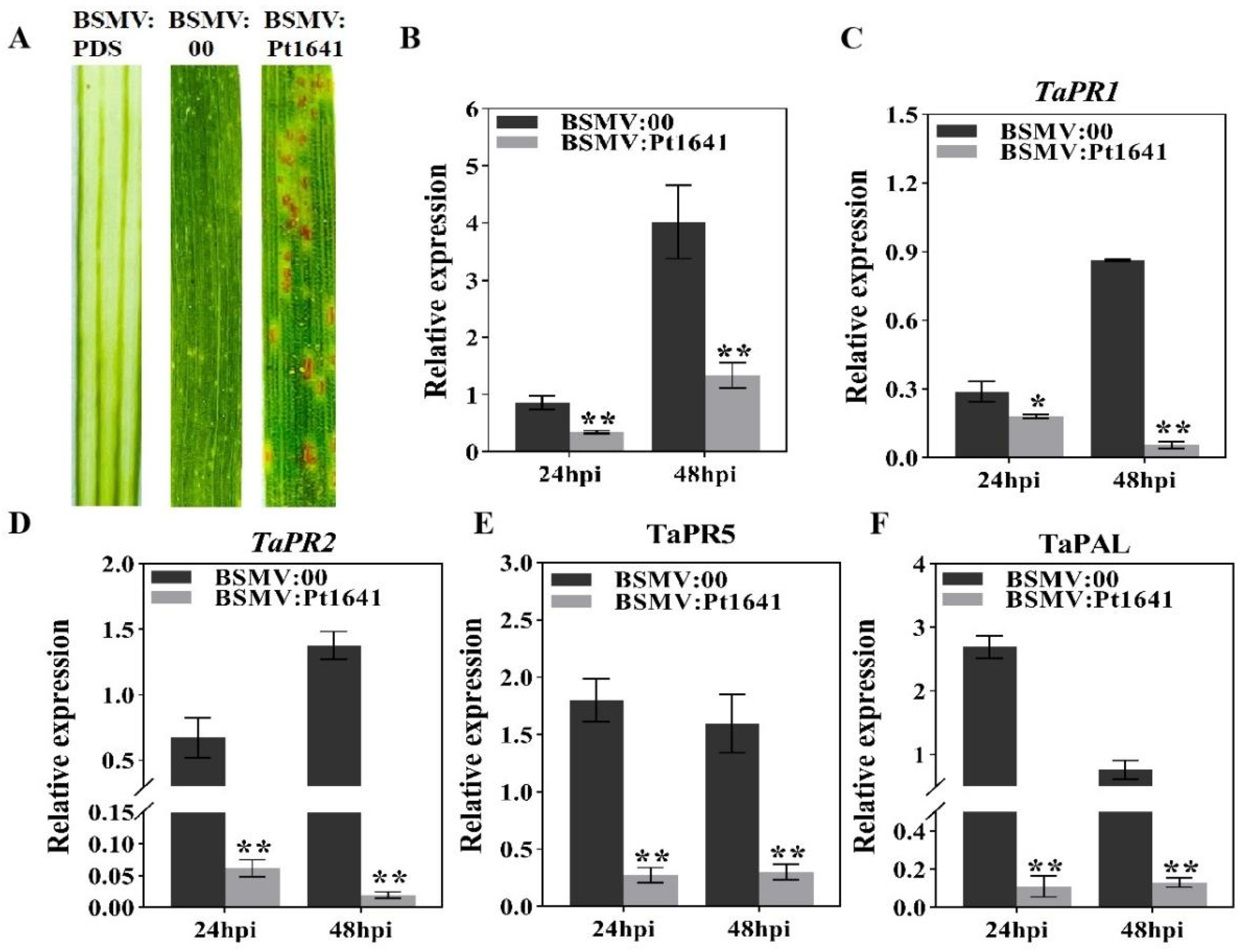 Plants 13 02255 g006