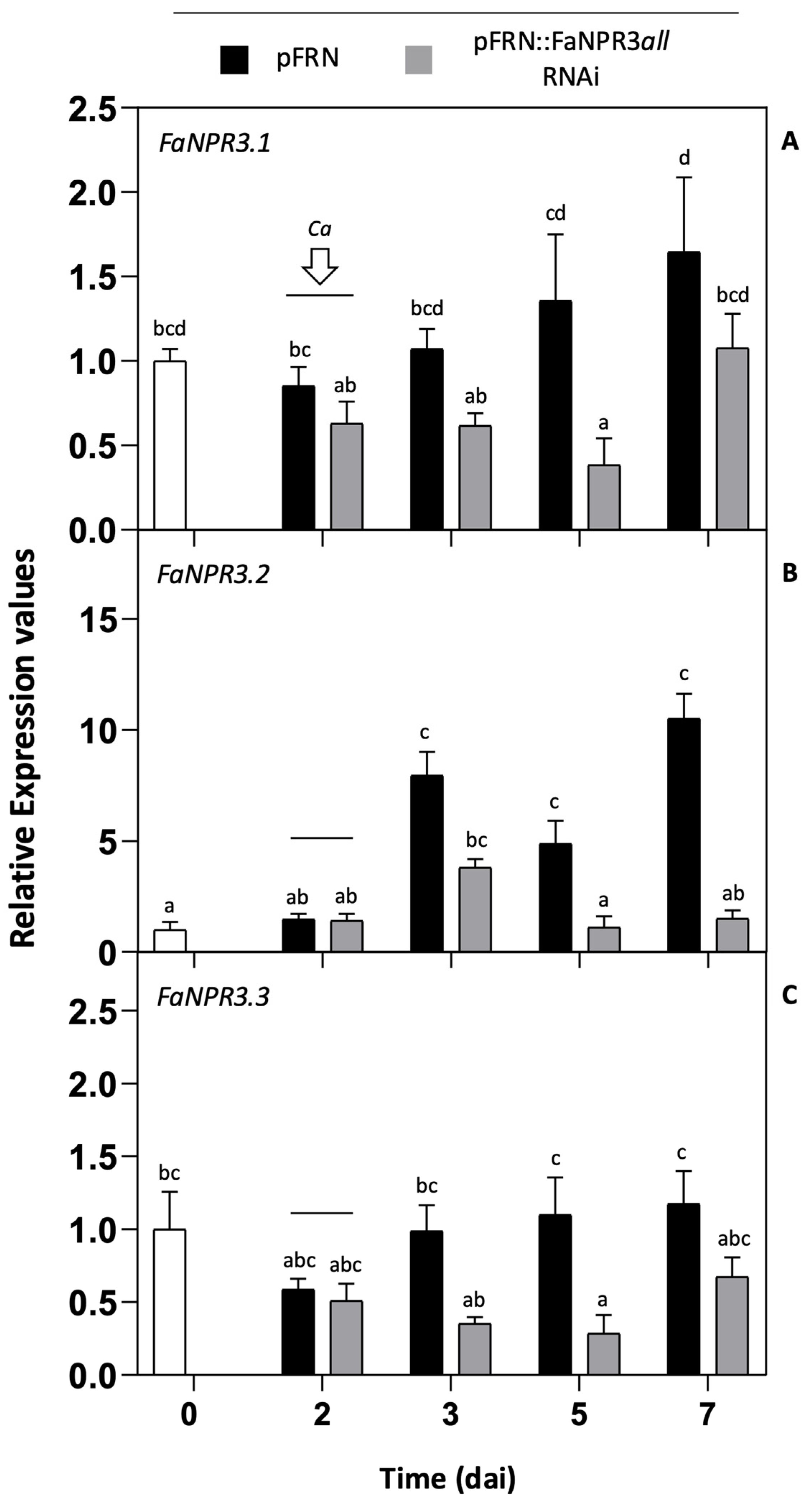 Plants 13 02261 g001