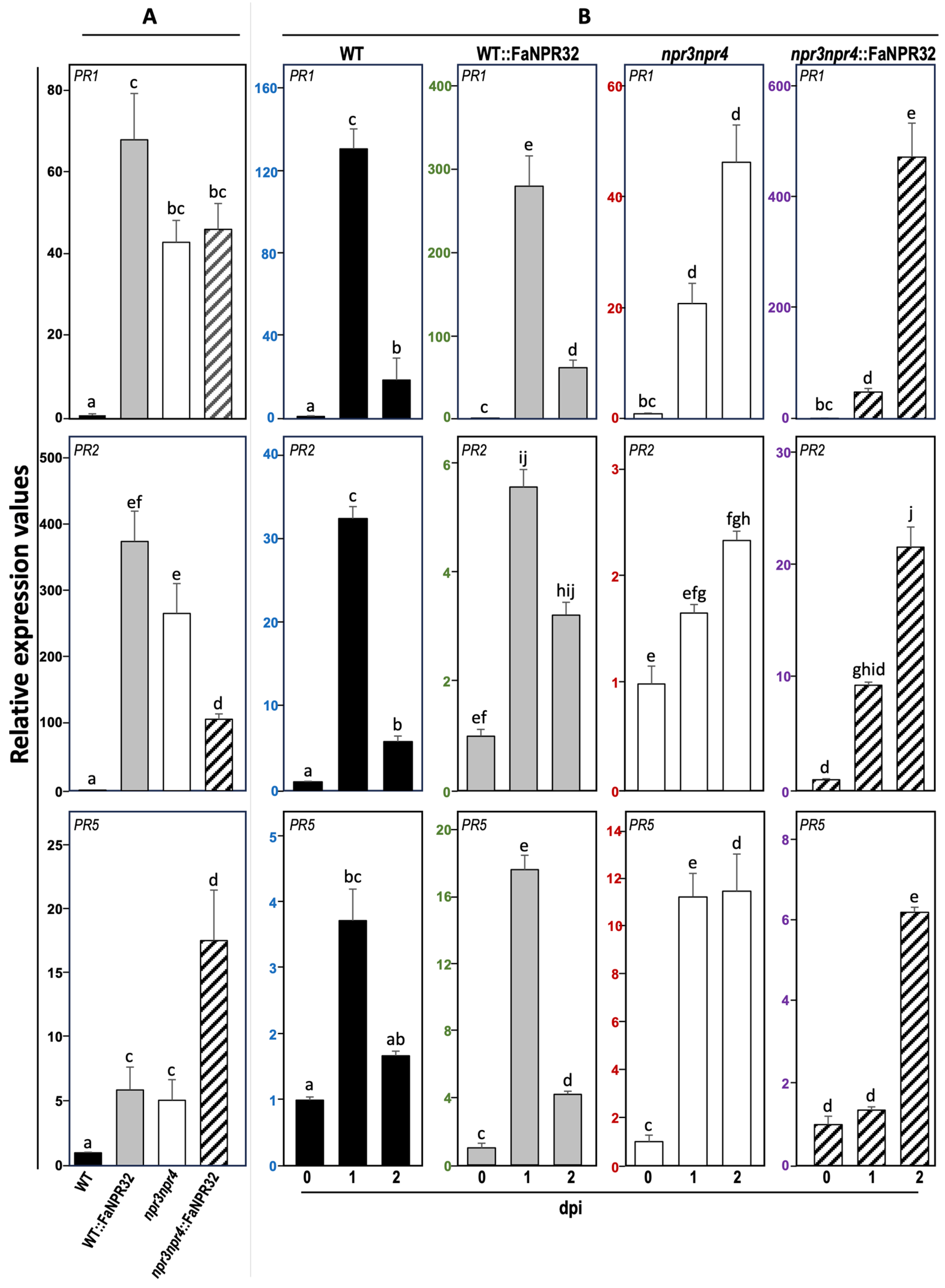 Plants 13 02261 g007