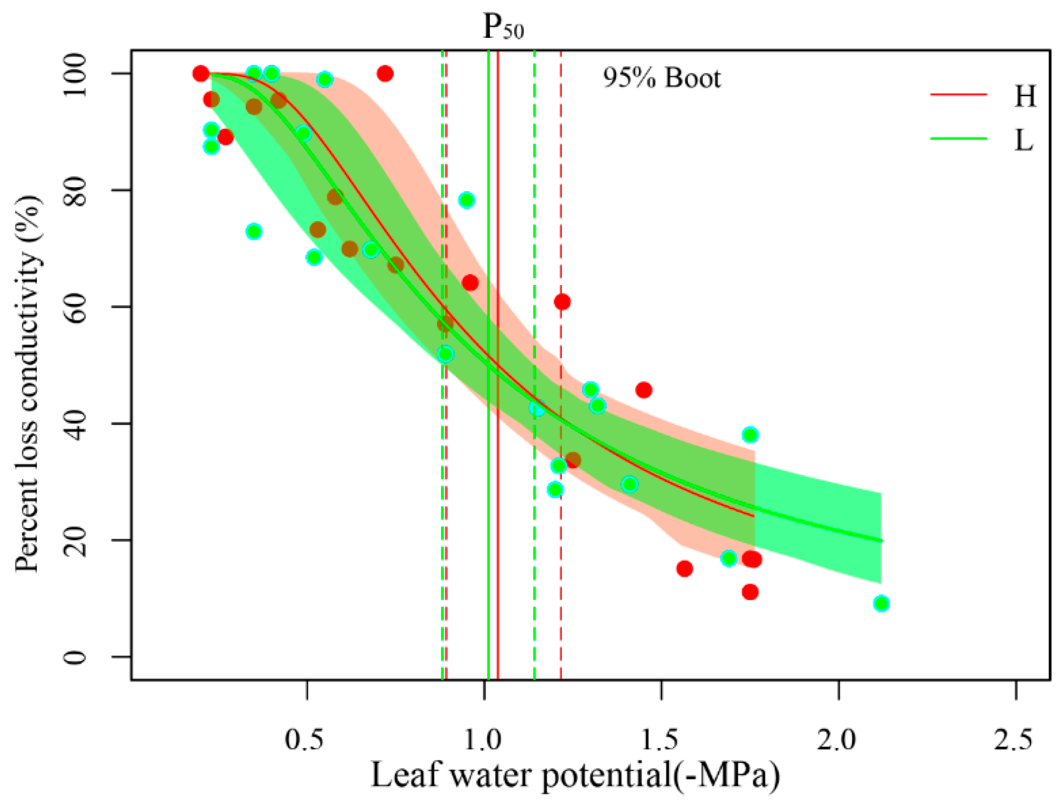 Plants 13 02263 g003