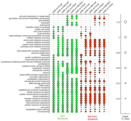 First Peek into the Transcriptomic Response in Heat-Stressed