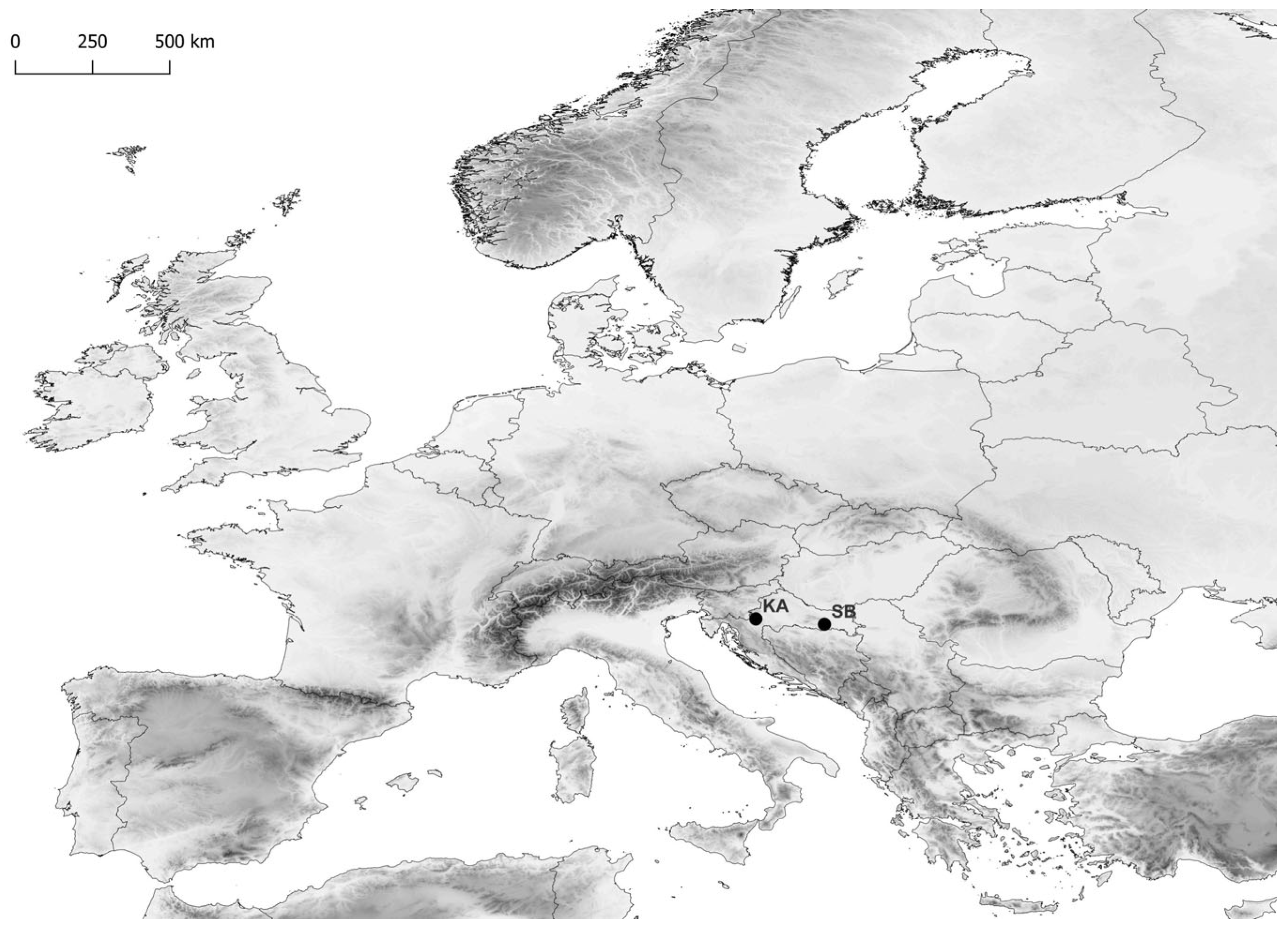 Plants 13 02270 g006