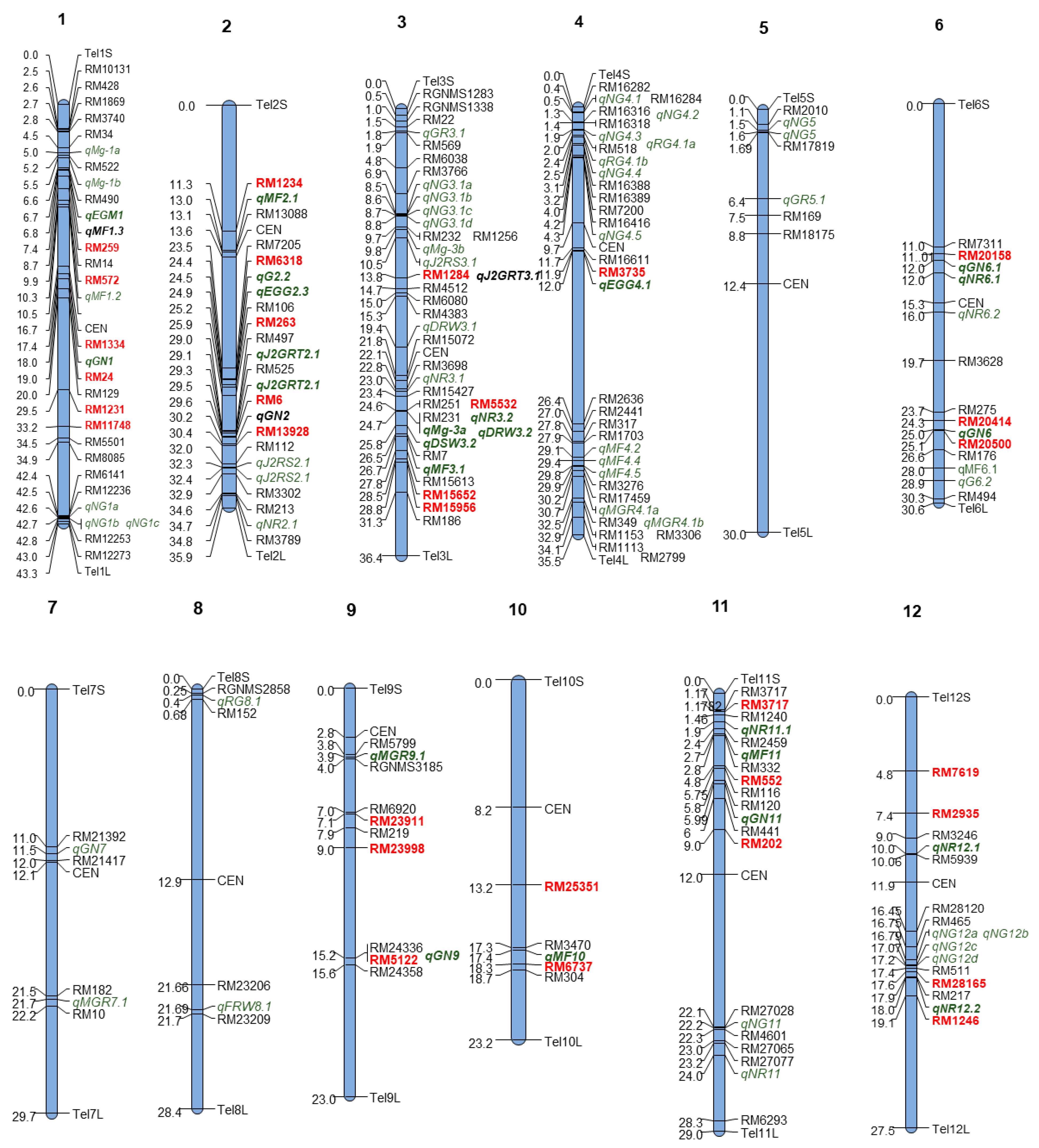 Plants 13 02271 g005