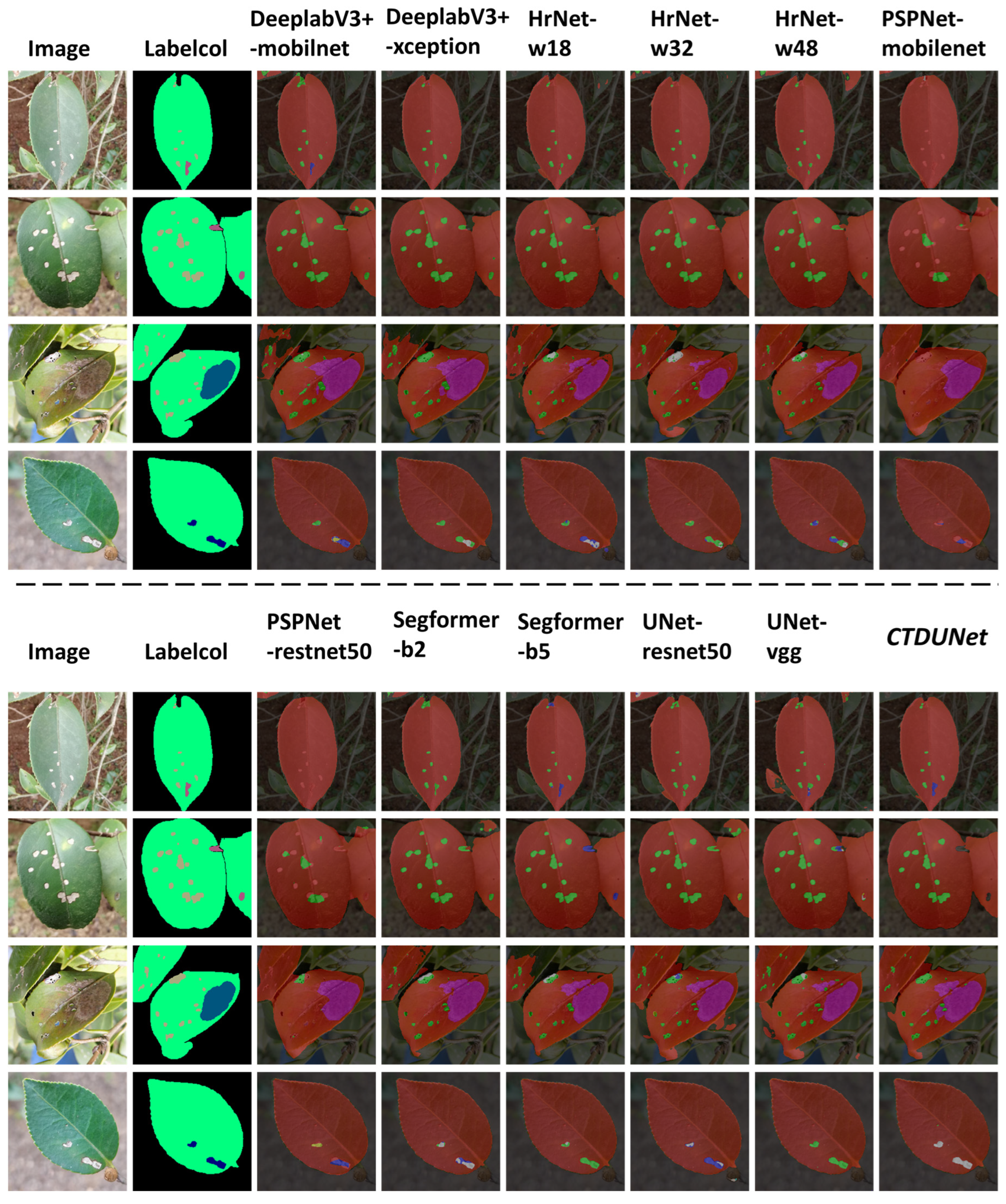 Plants 13 02274 g003