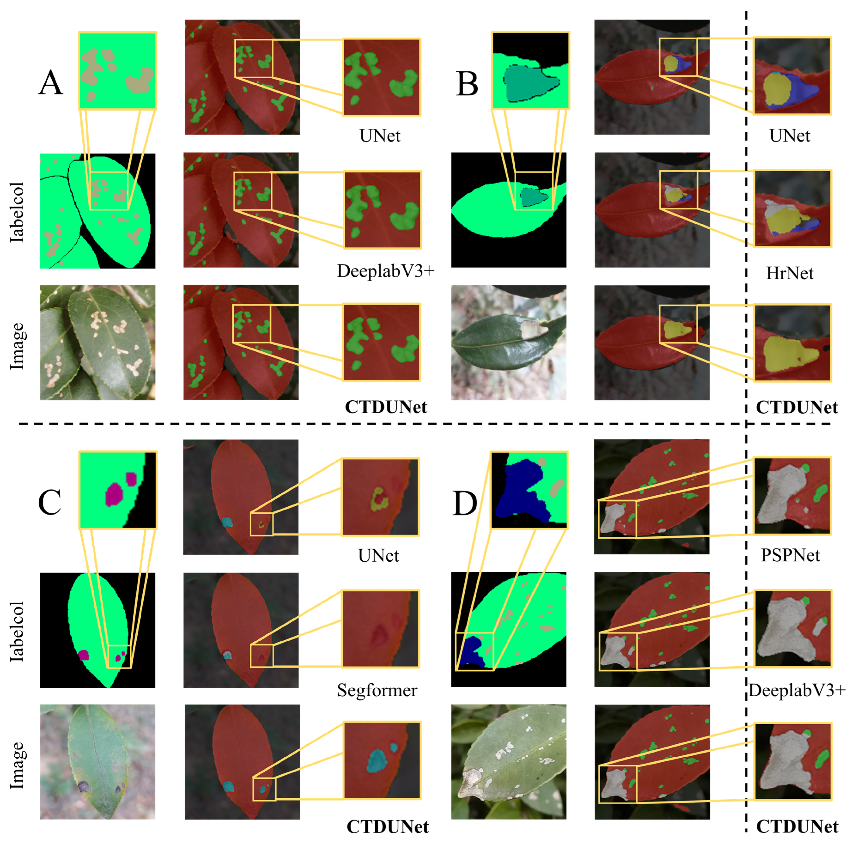 Plants 13 02274 g005