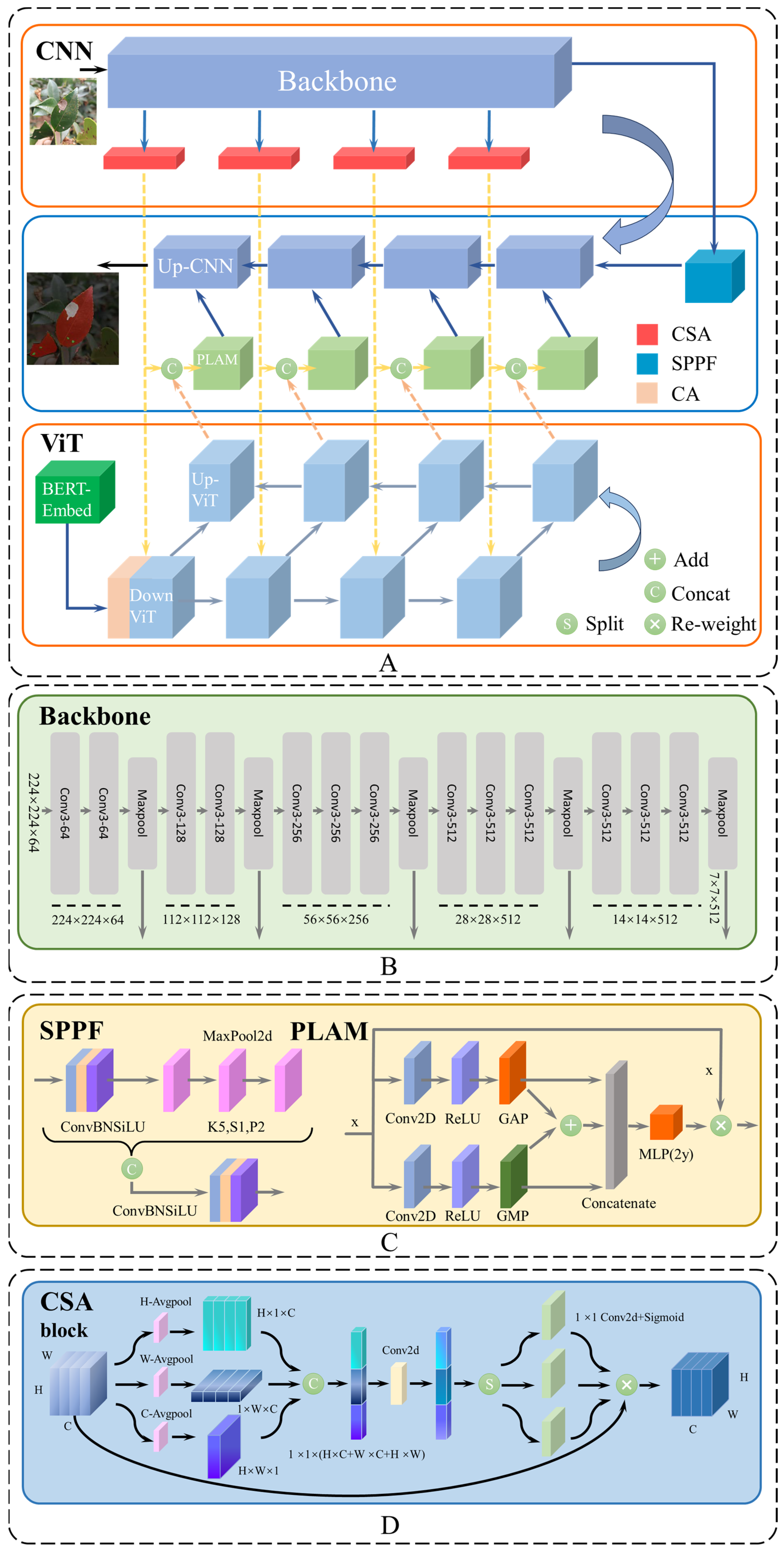 Plants 13 02274 g006