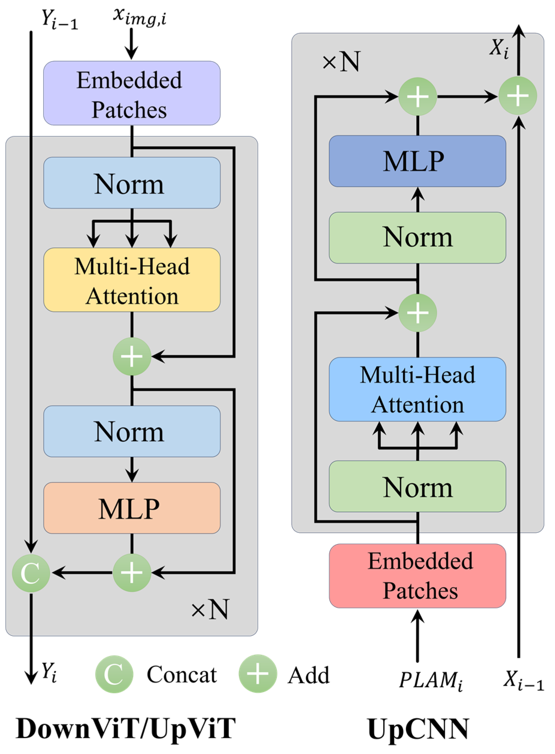 Plants 13 02274 g008