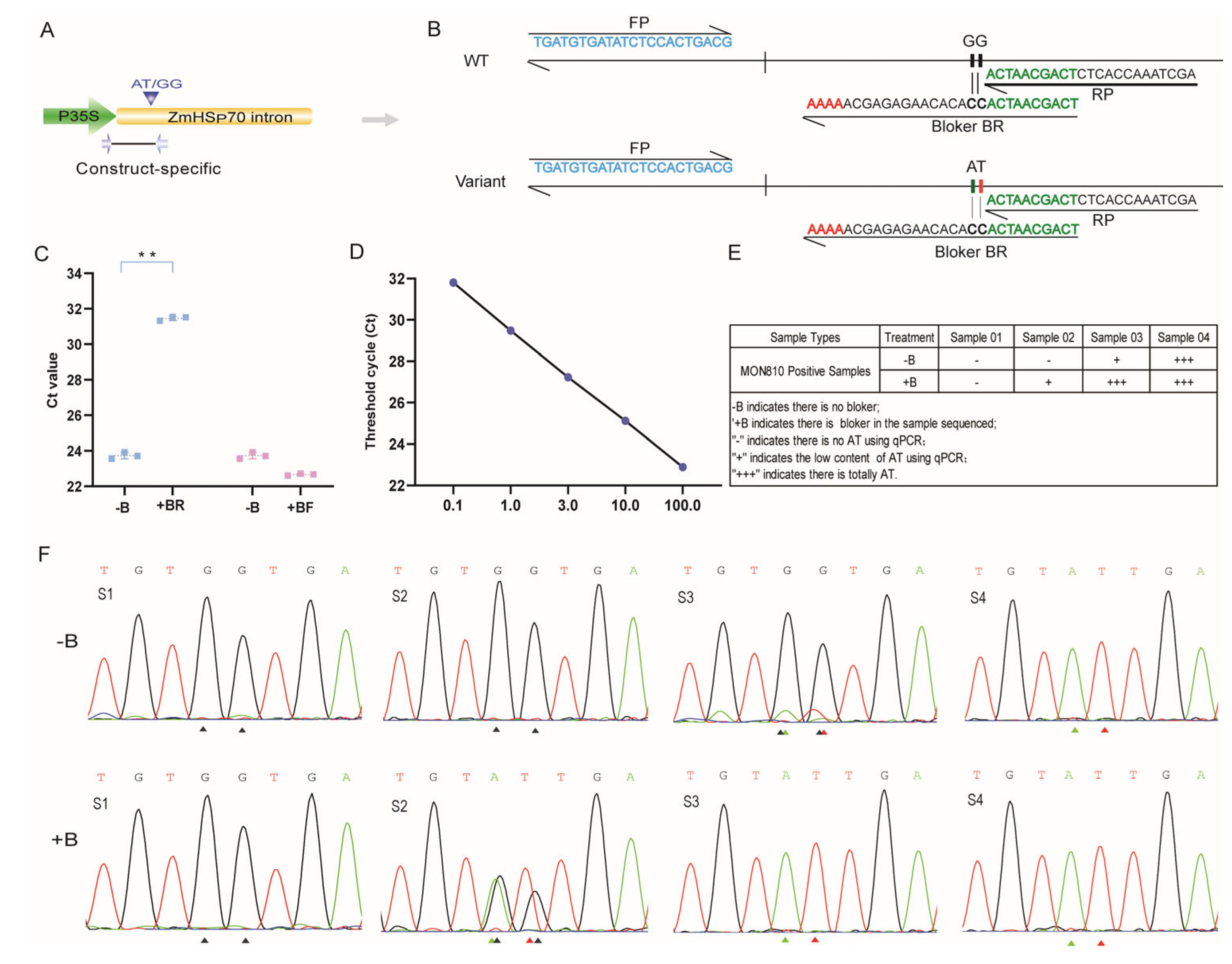 Plants 13 02276 g004