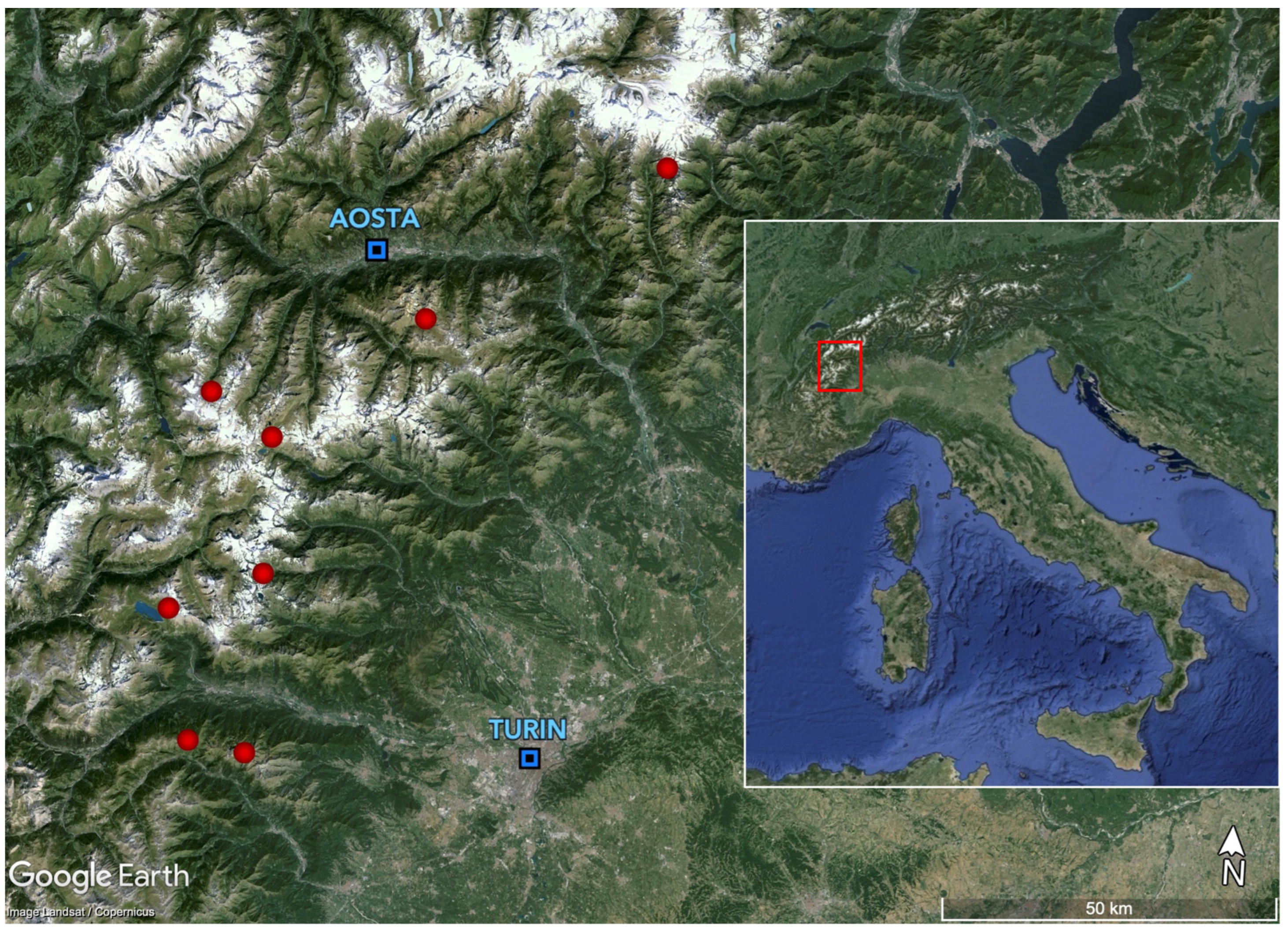 Plants 13 02280 g005 Plants 13 02280 g005