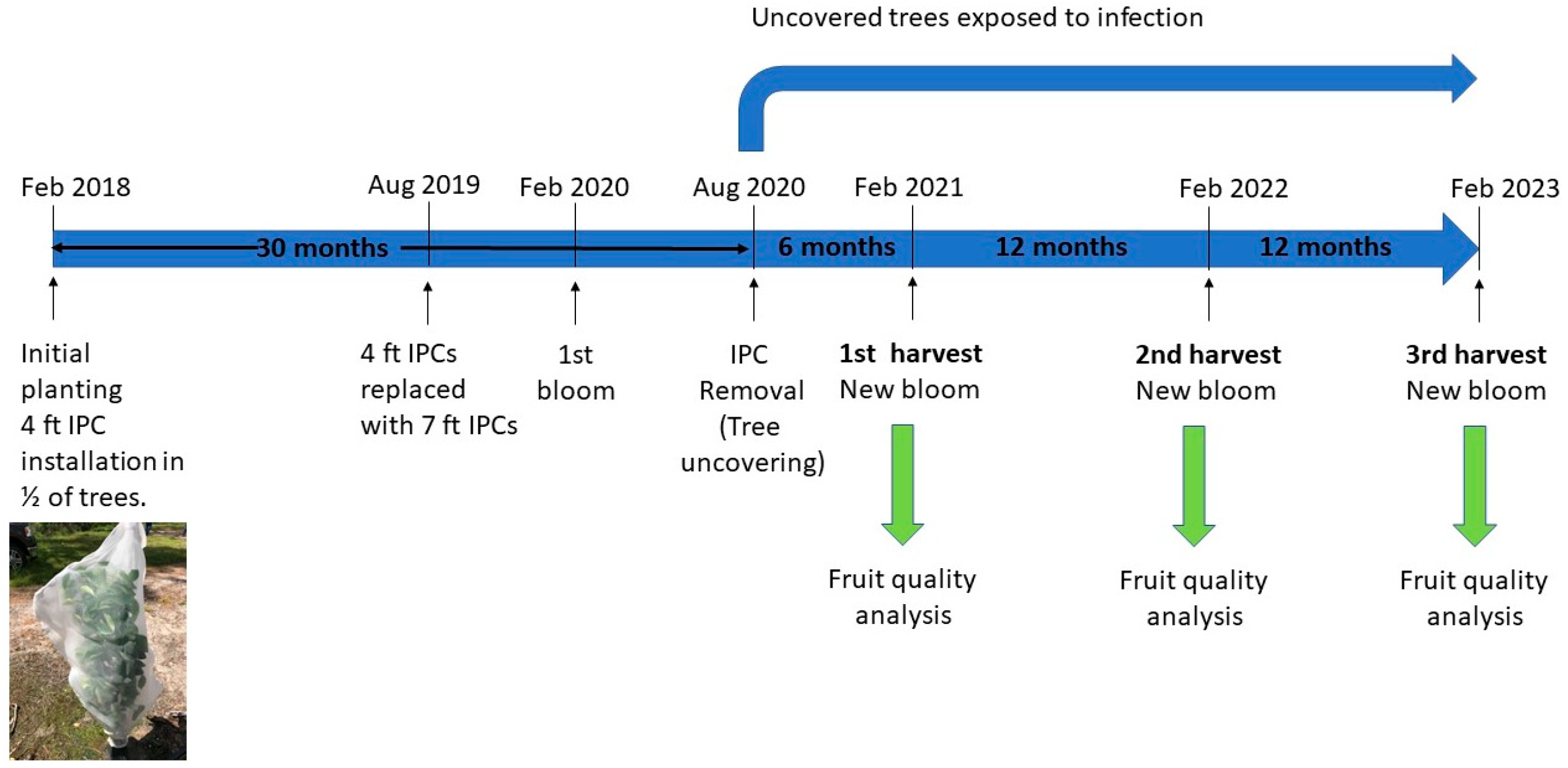 Plants 13 02284 g001