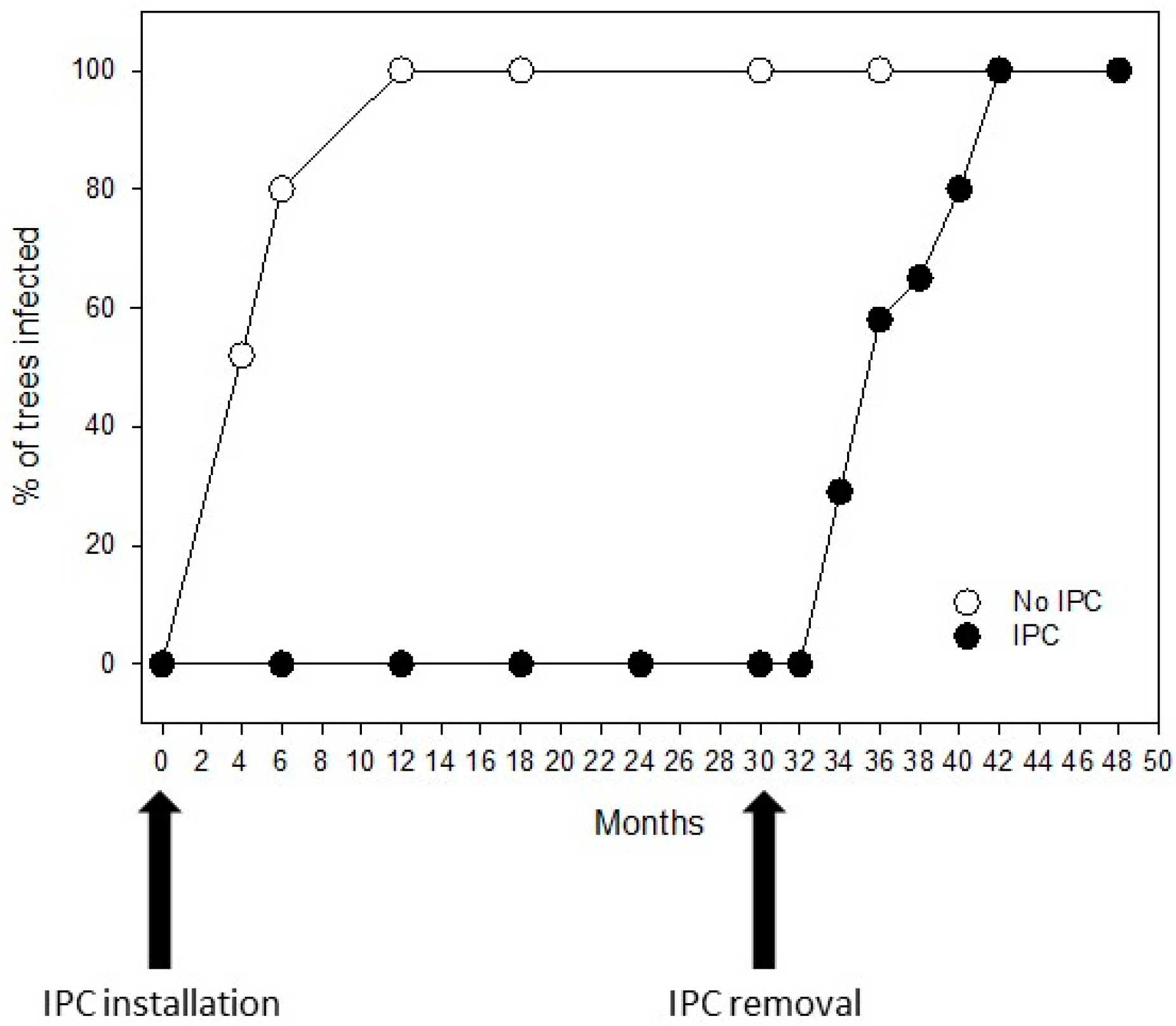 Plants 13 02284 g002
