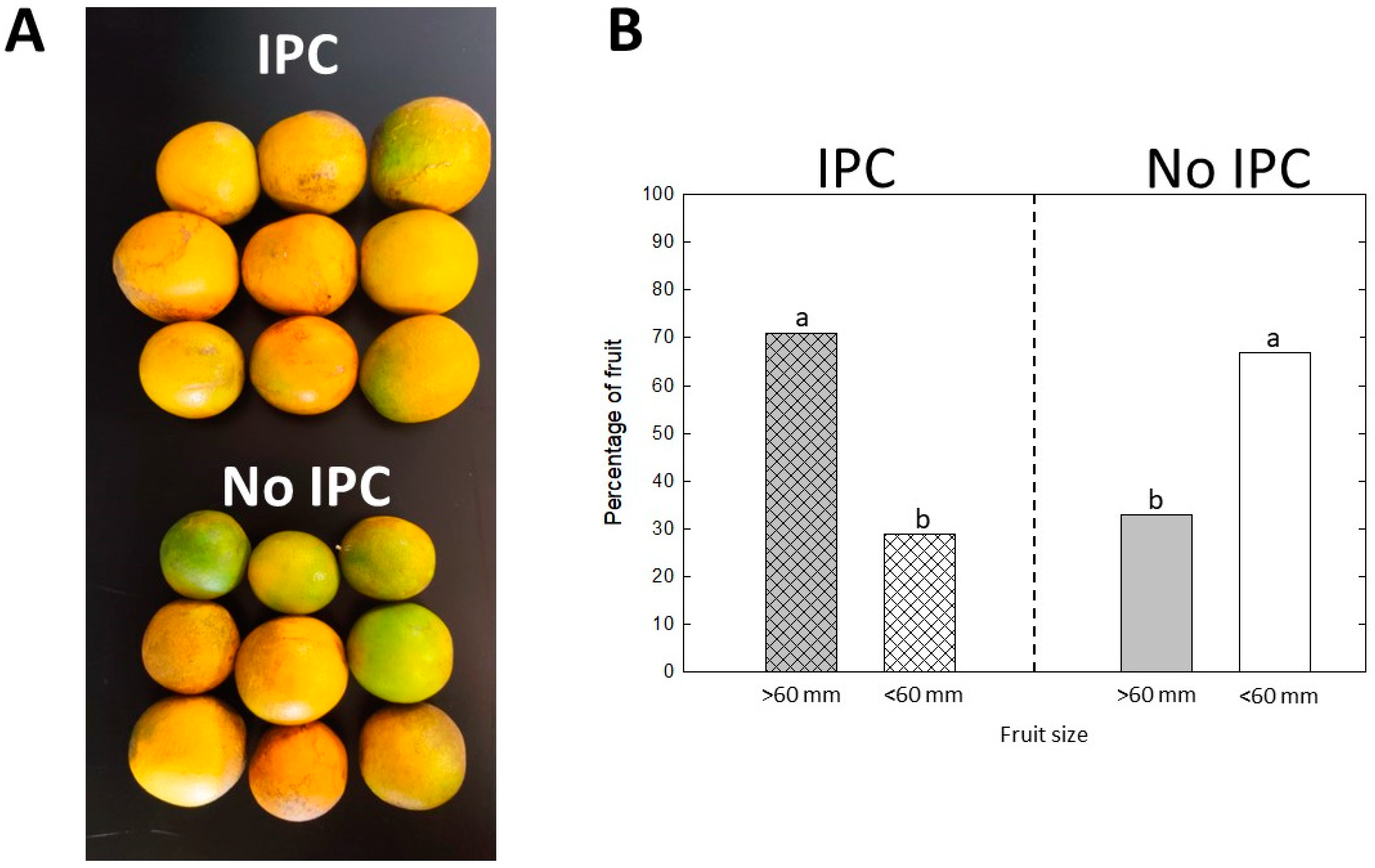 Plants 13 02284 g004