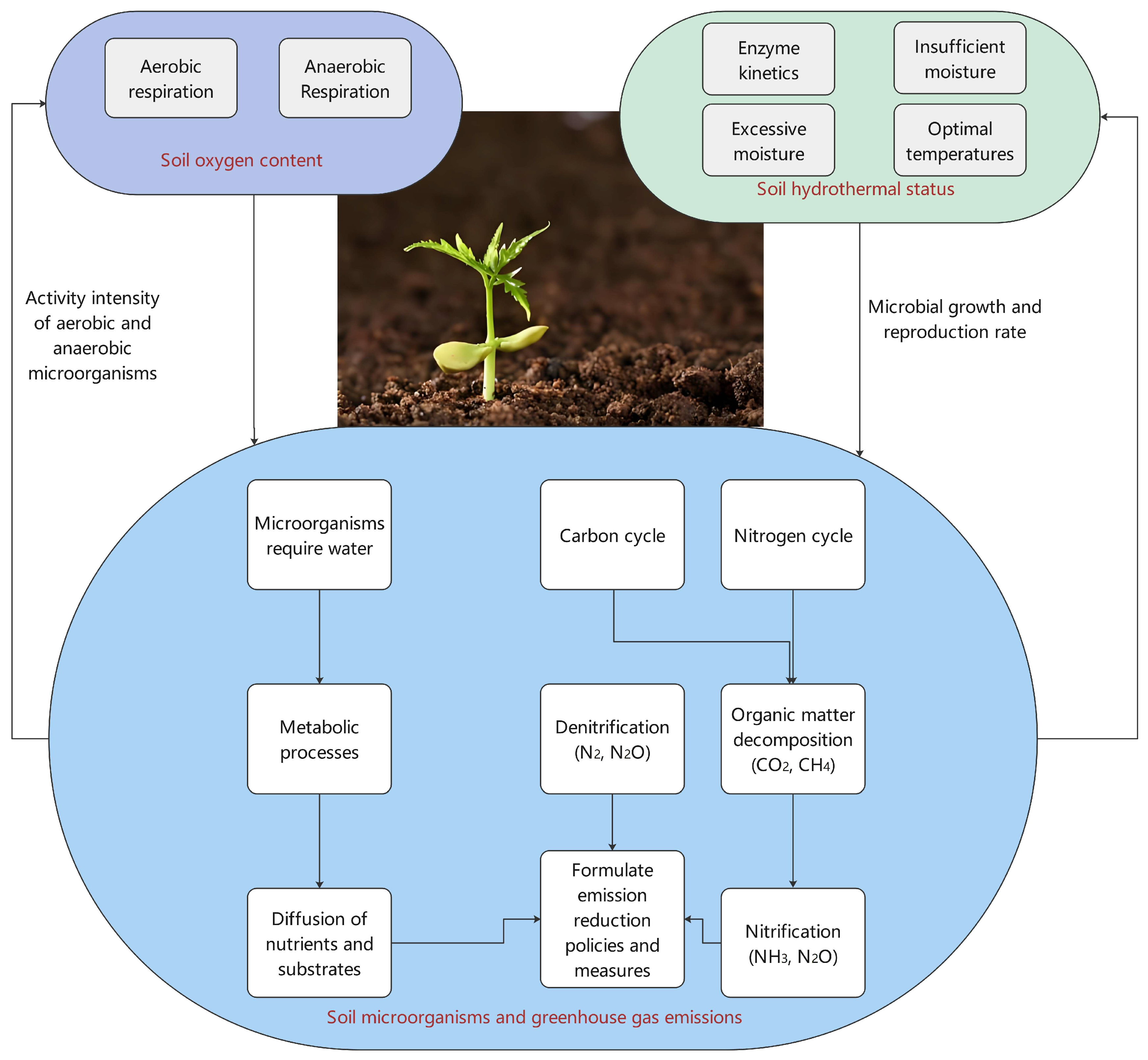 Plants 13 02285 g002