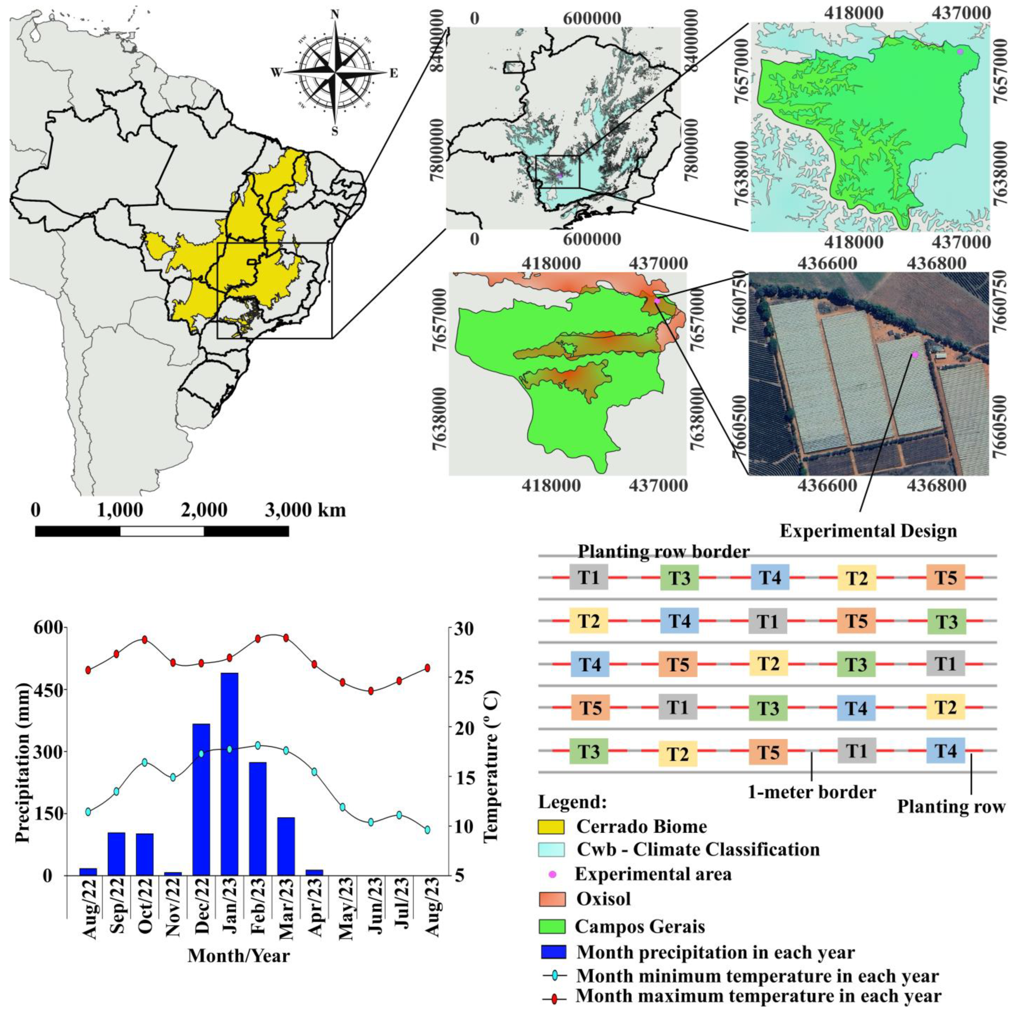 Plants 13 02288 g007
