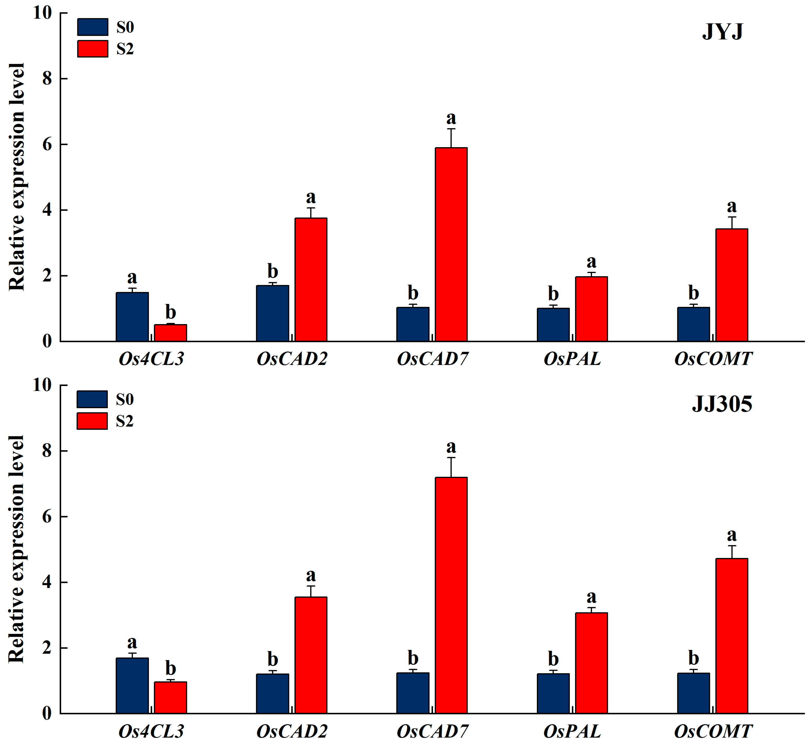 Plants 13 02289 g010