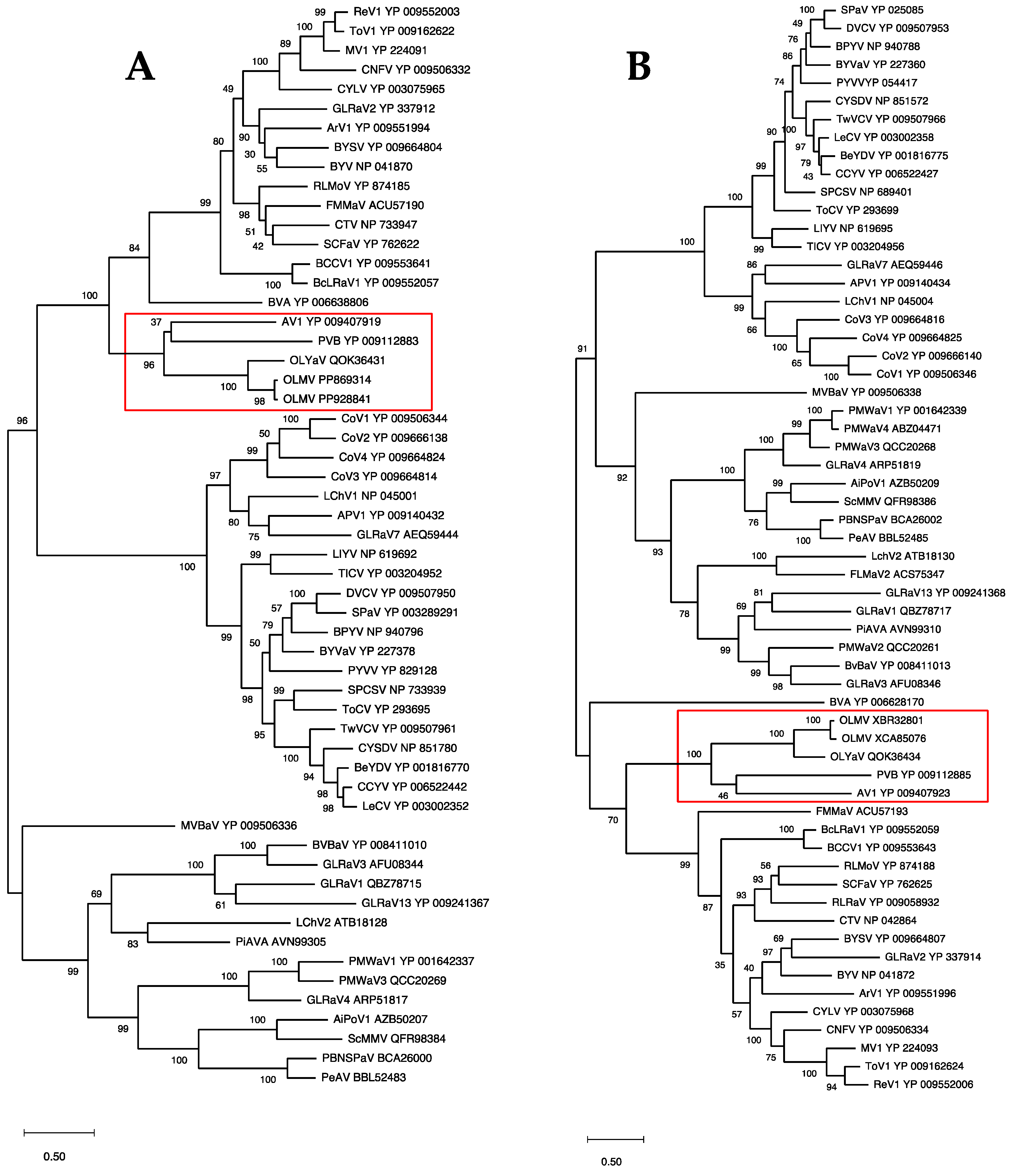 Plants 13 02290 g003