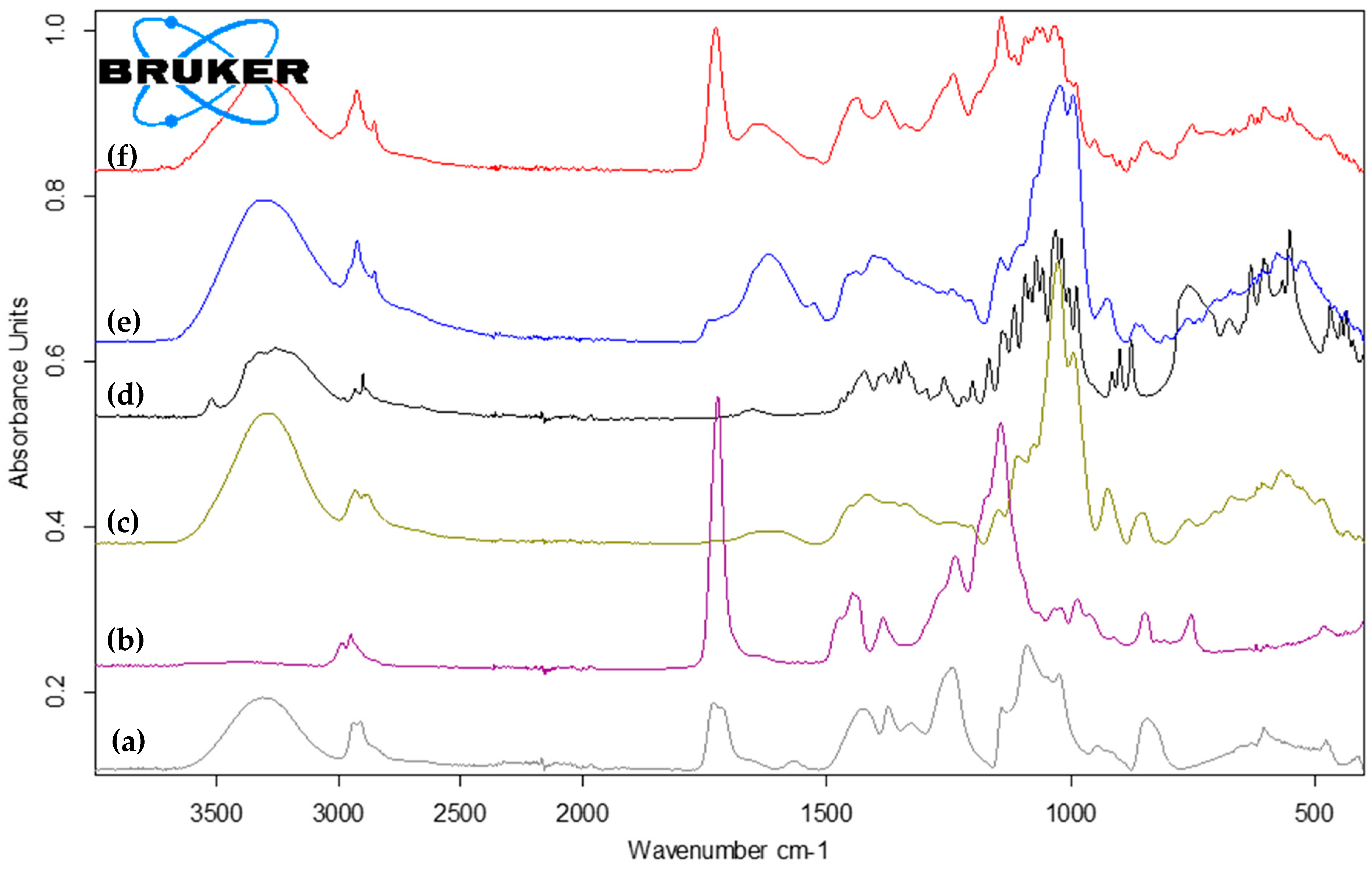 Plants 13 02294 g006
