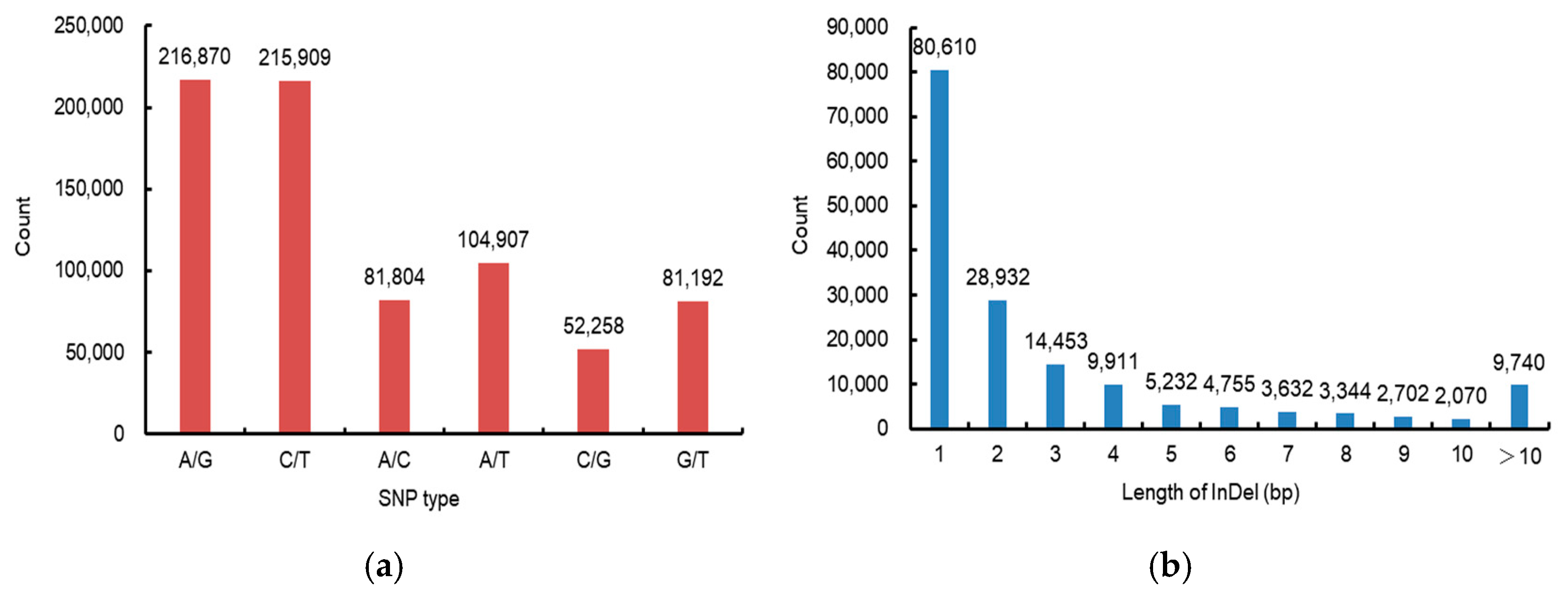 Plants 13 02298 g001