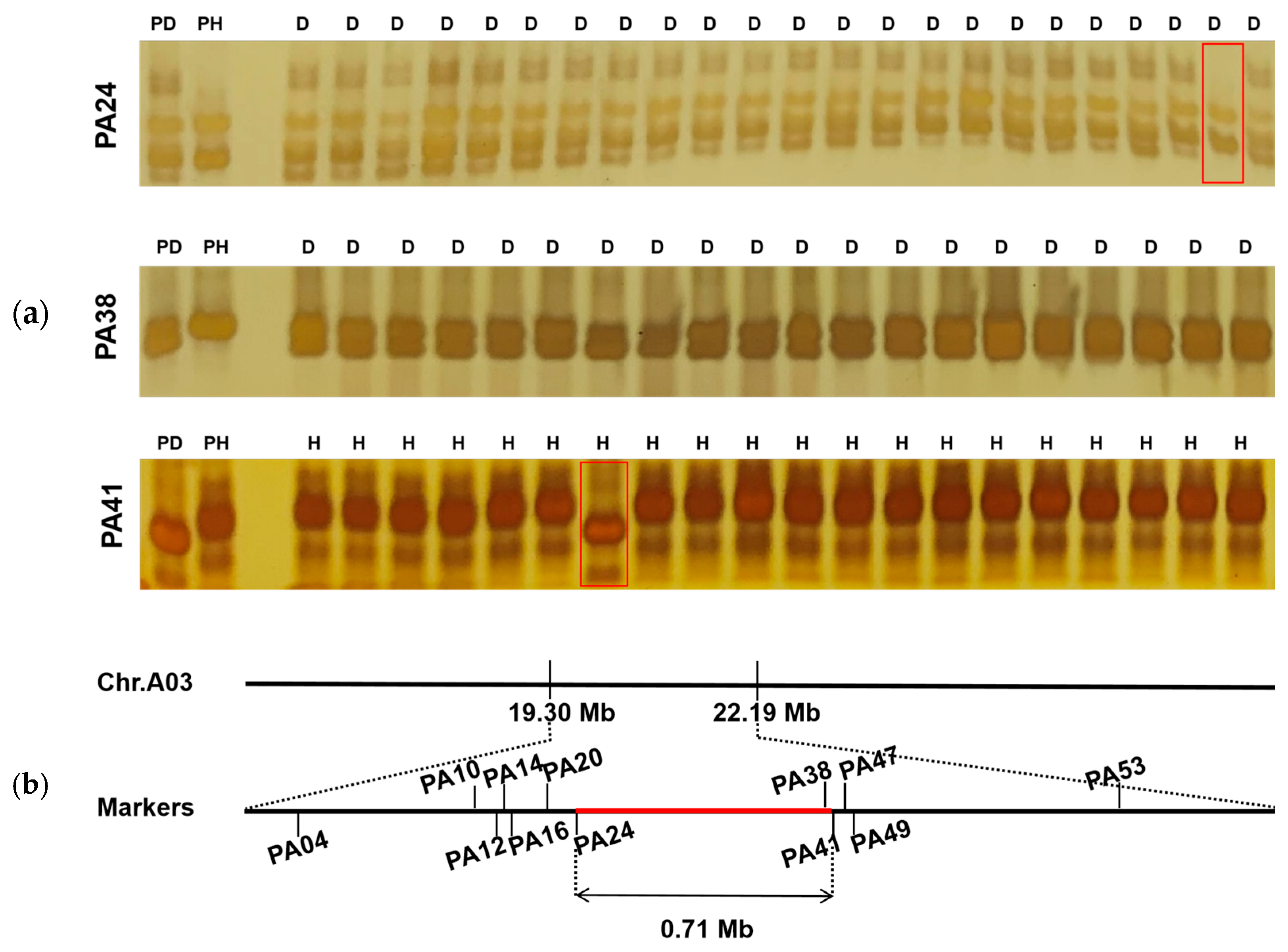 Plants 13 02298 g004