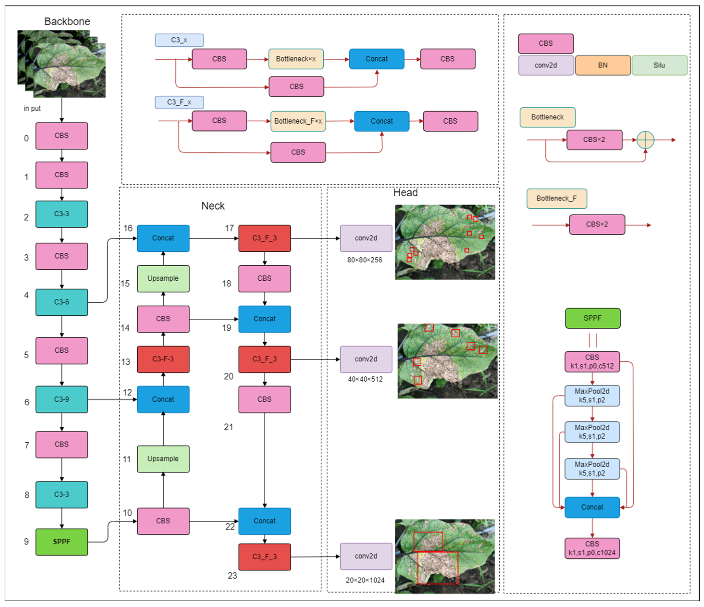 Plants 13 02303 g006